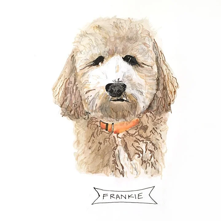 Frankiedog.jpg