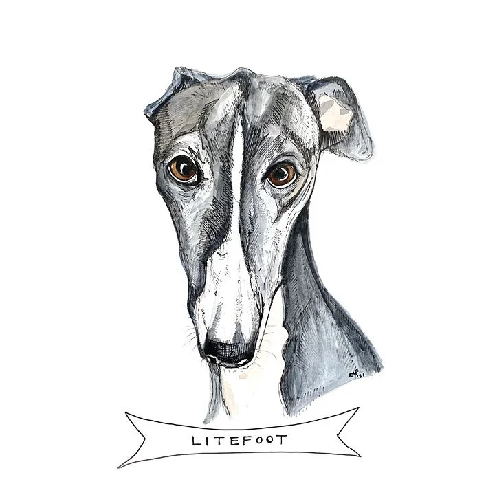 Litefoot.jpg