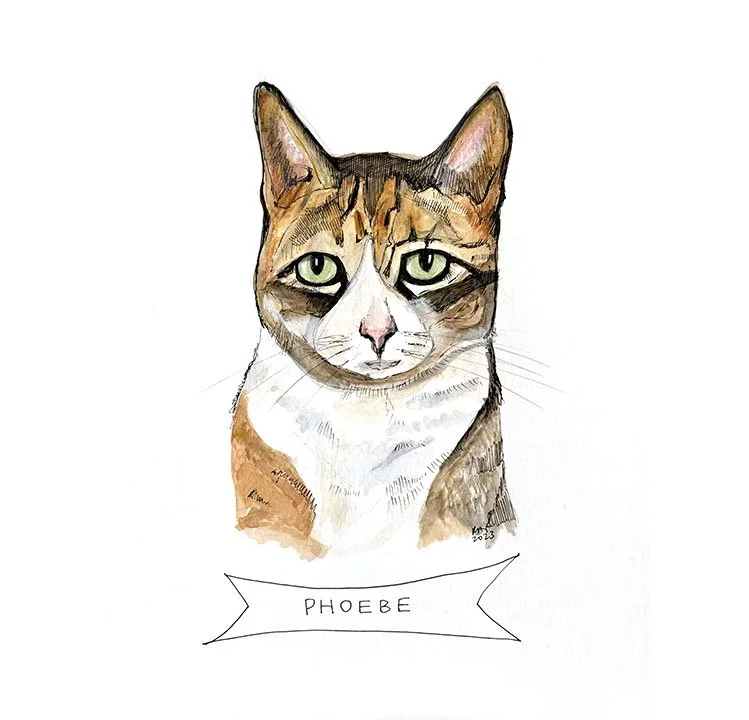 Phoebe.jpg