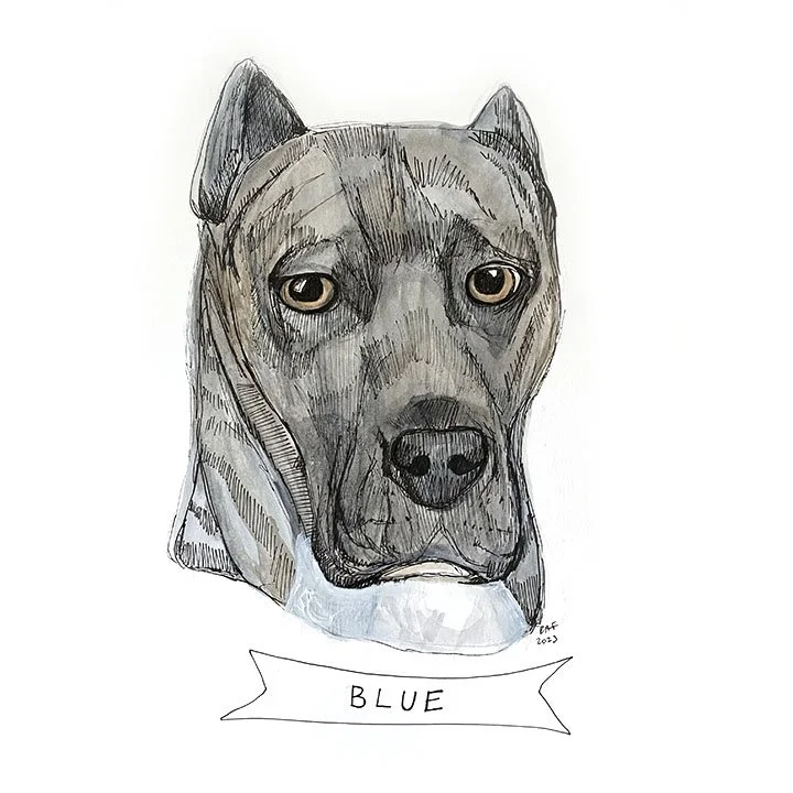 Blue 3.jpg