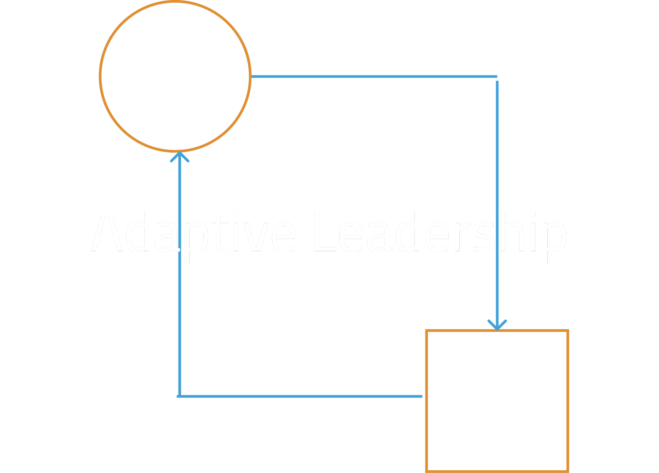 Adaptive Leadership