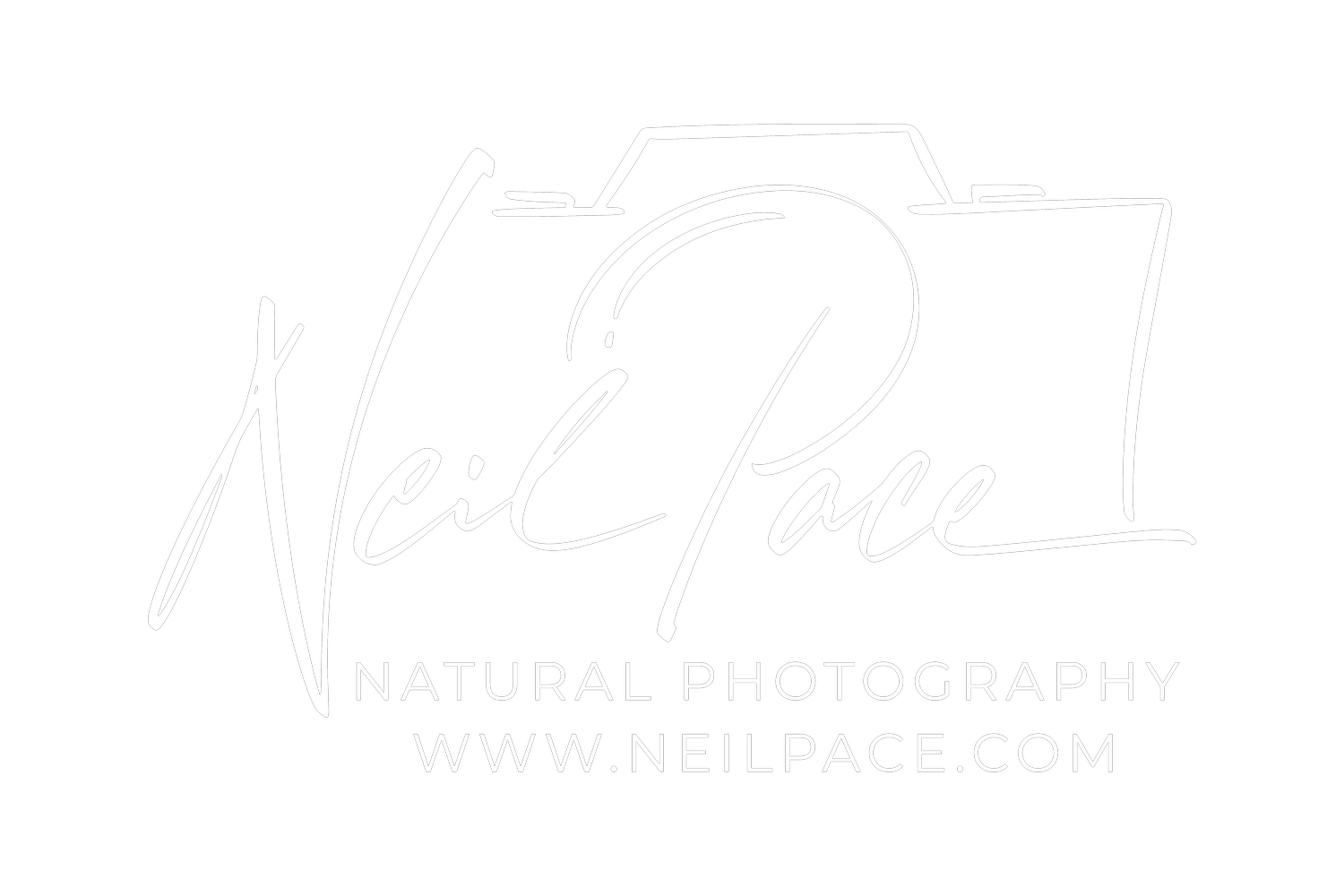 Neil Pace  British Landscape Photography &amp; Rural Storytelling