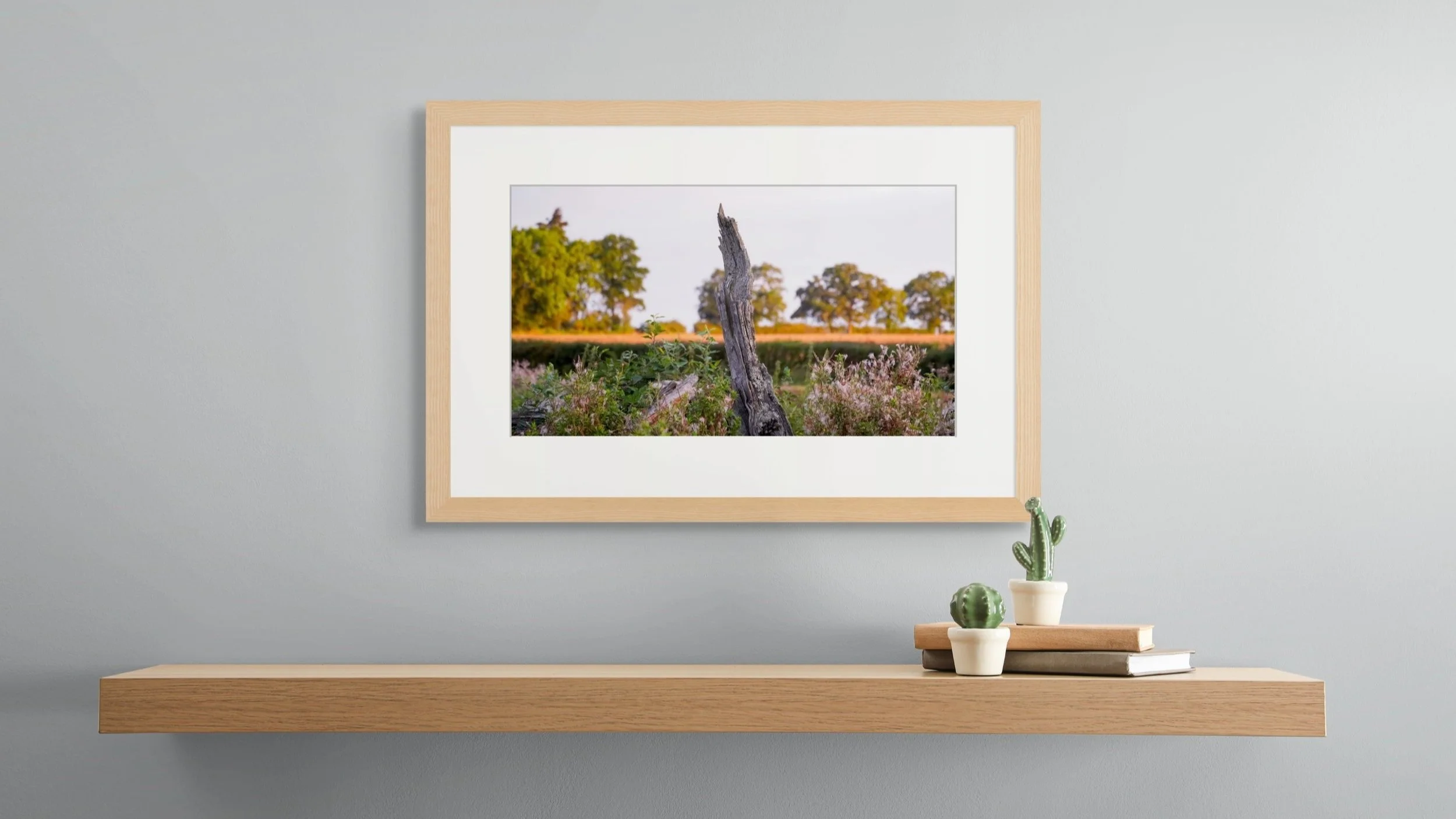 Framed photo weathered tree stump surrounded by wildflowers, hanging above a wooden shelf with two small cacti and a stack of books.