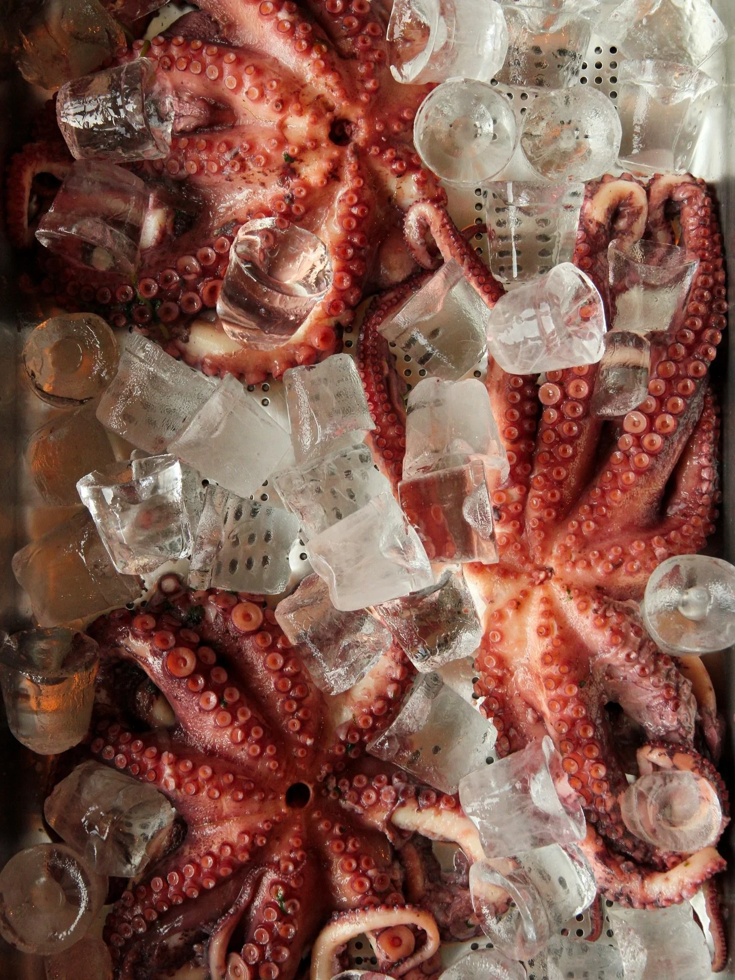 Sustainably and responsibly sourced local catch &ndash; from the Atlantic Ocean straight to your plate 🐙

#octopus #seafood