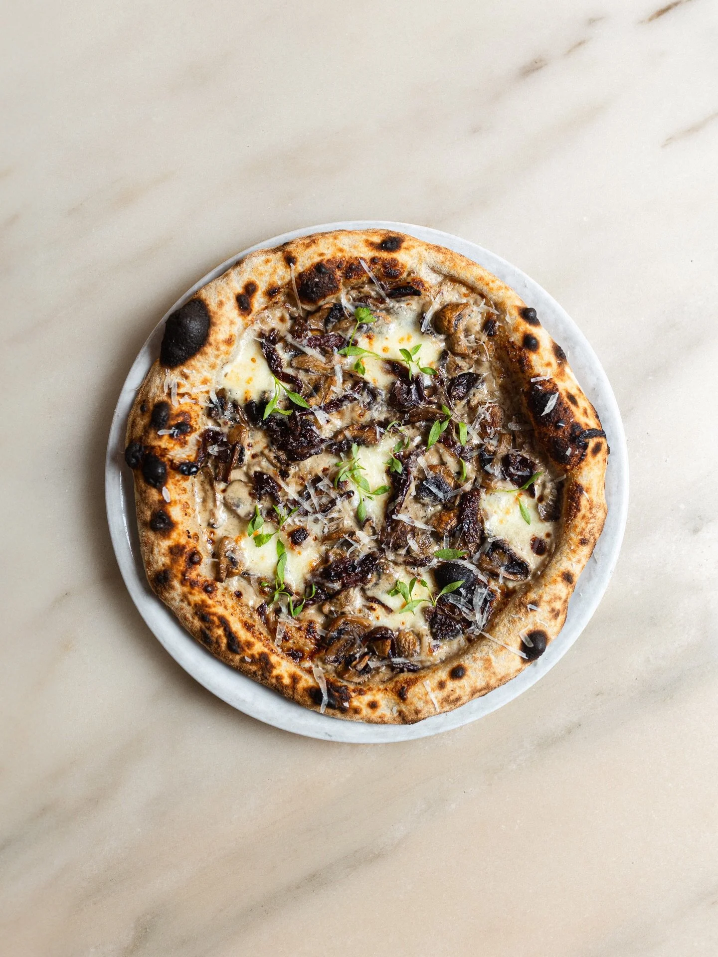 Our signature pizza that you can&rsquo;t miss

Crema al tartufo, black garlic, woodland mushrooms, caramelized onion, organic mozzarella, and aged parmigiano

Organic pizza | Sourdough pizza
