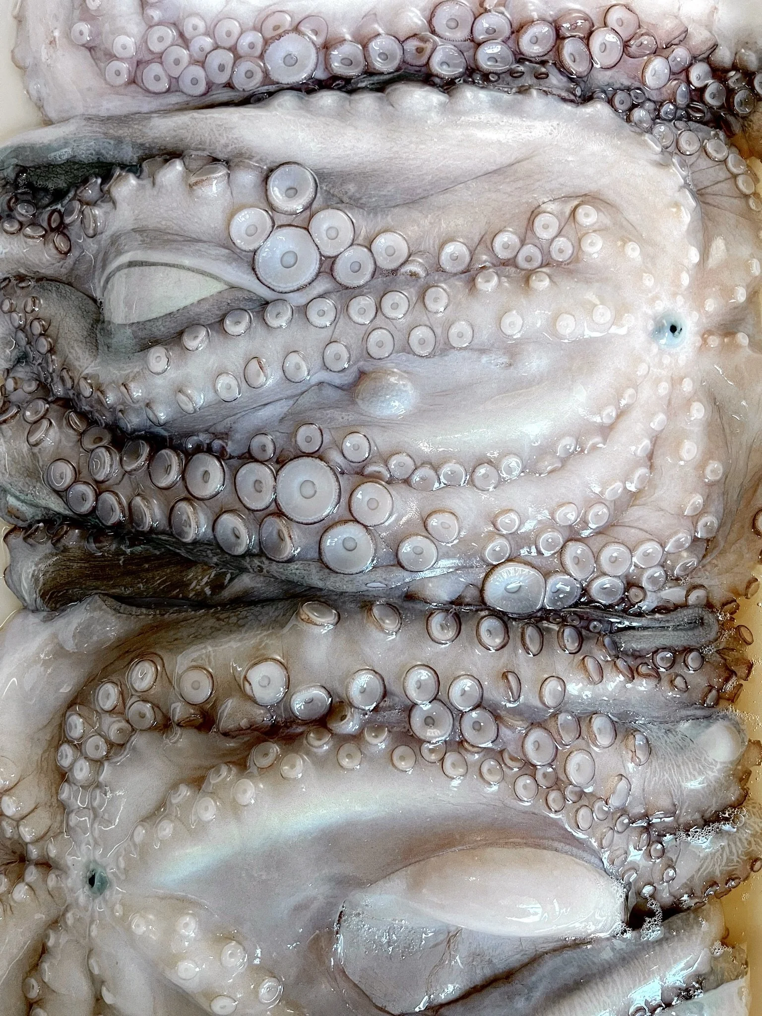 Ocean to table, no detours
