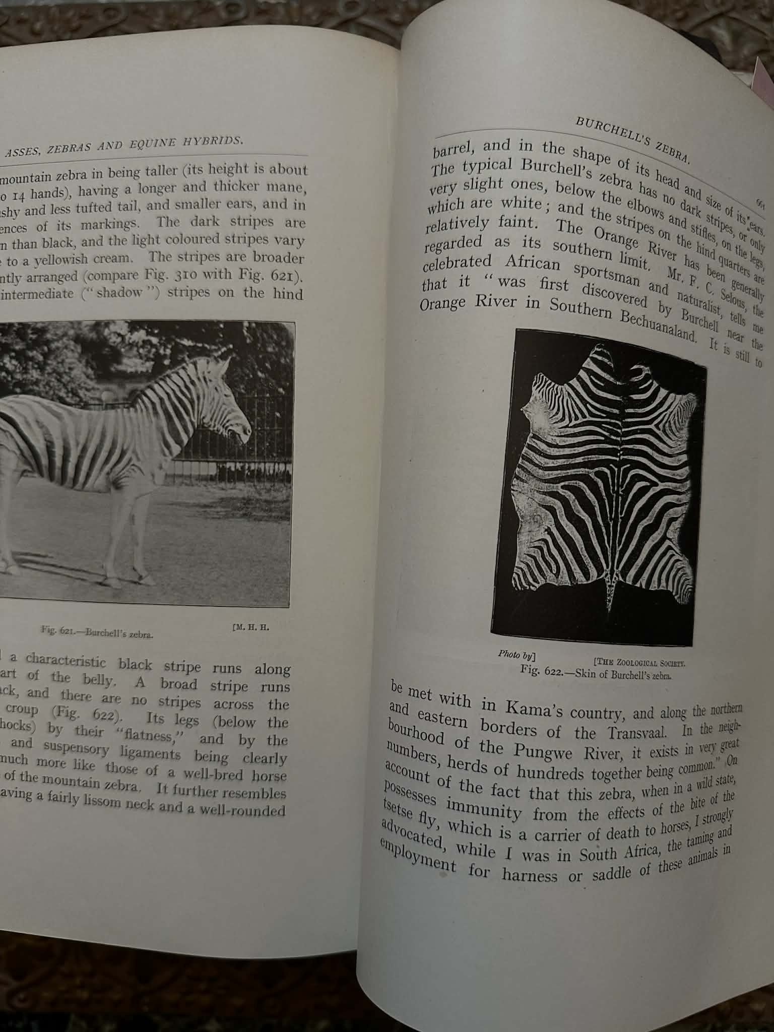 1000005791.jpg