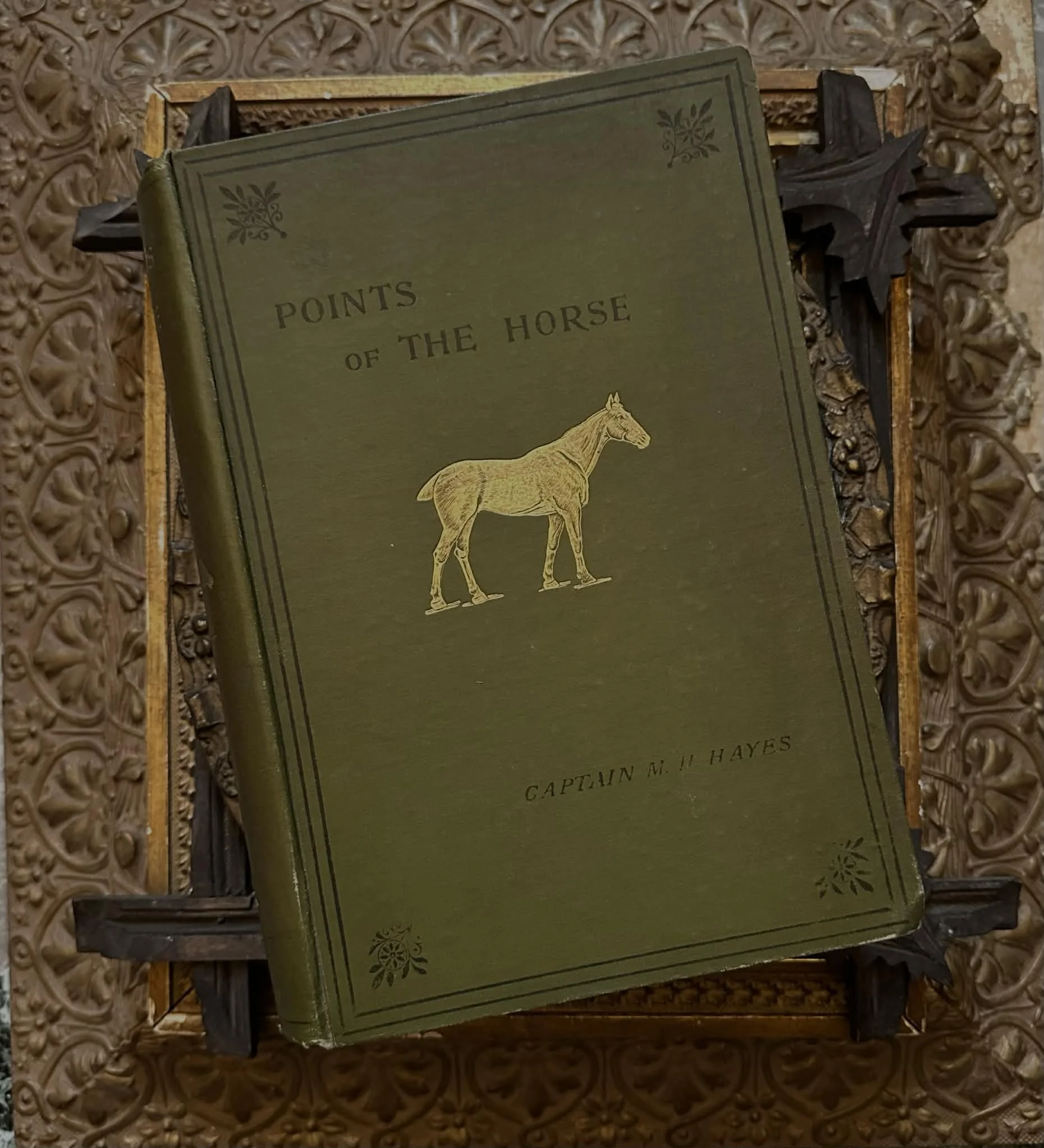 1904 Points of the Horse by M. Horace Hayes