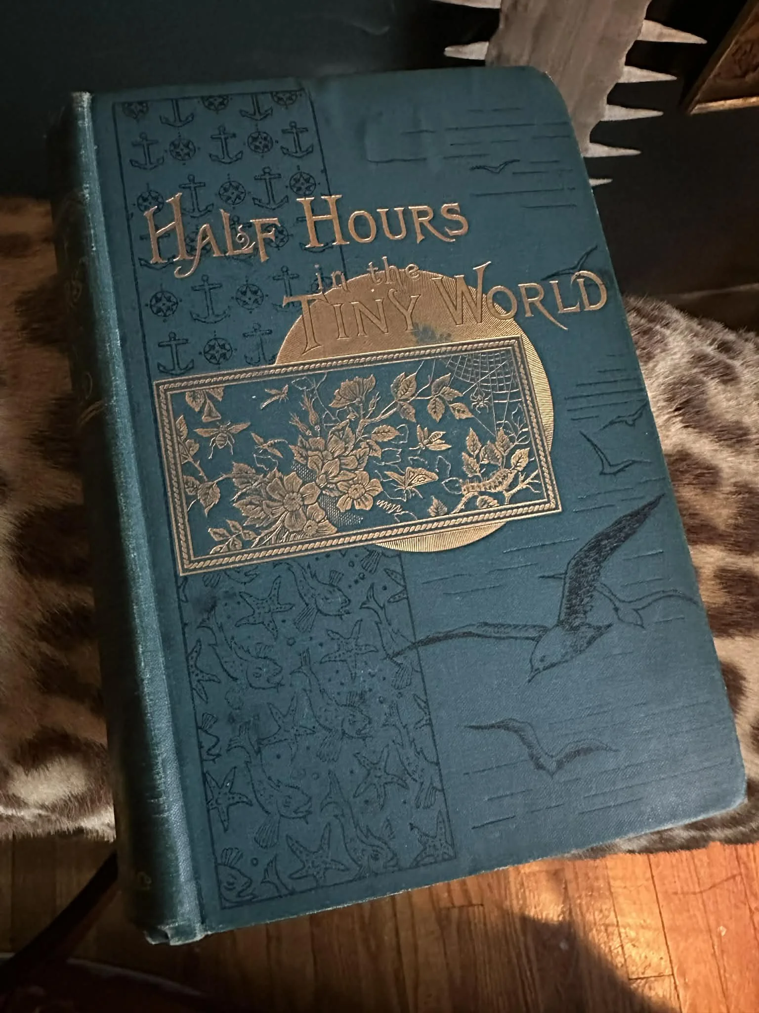 1899 Half Hours in the Tiny World by James Nisbet & Co.