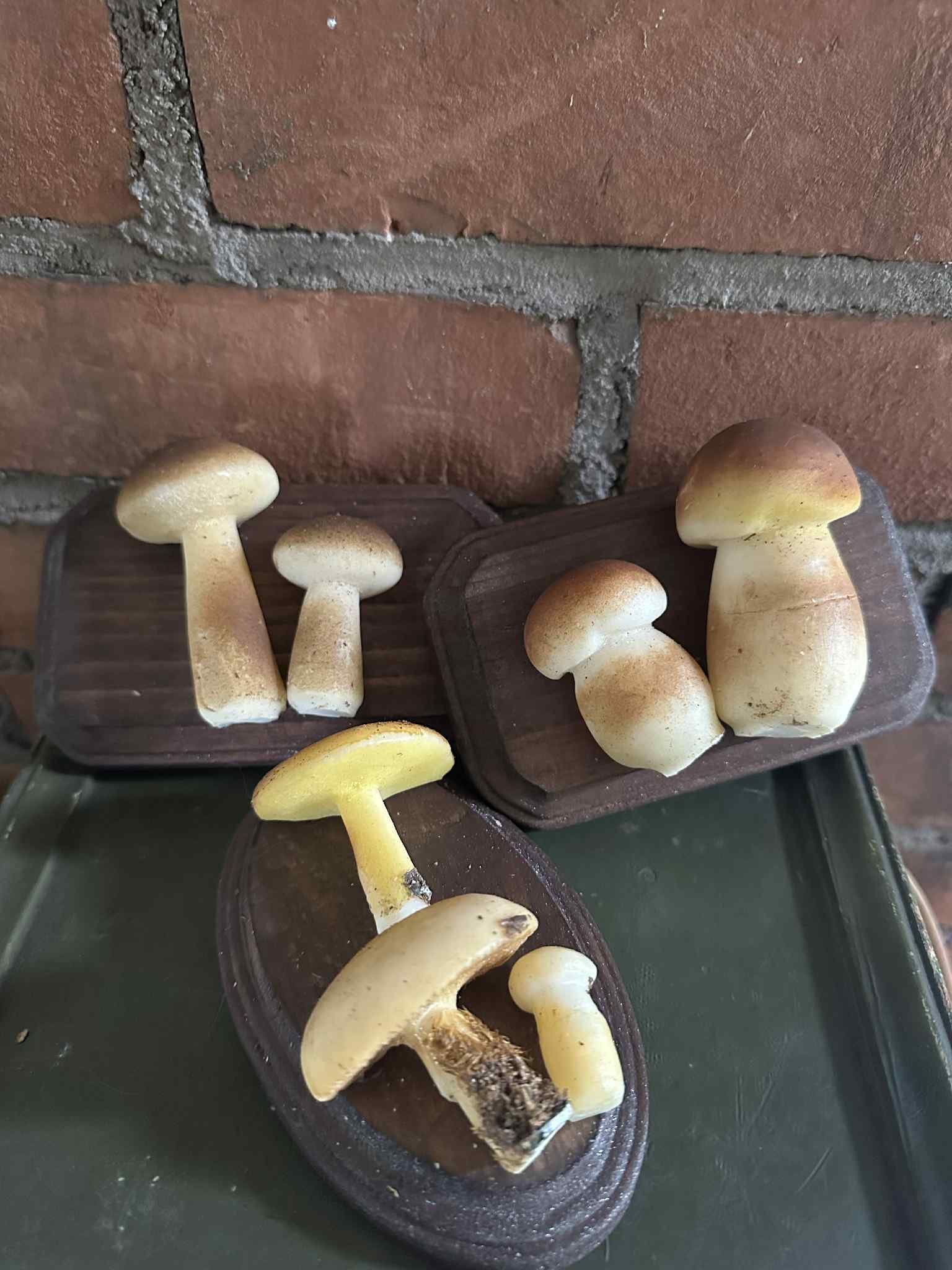 Antique Wax Mushroom Model