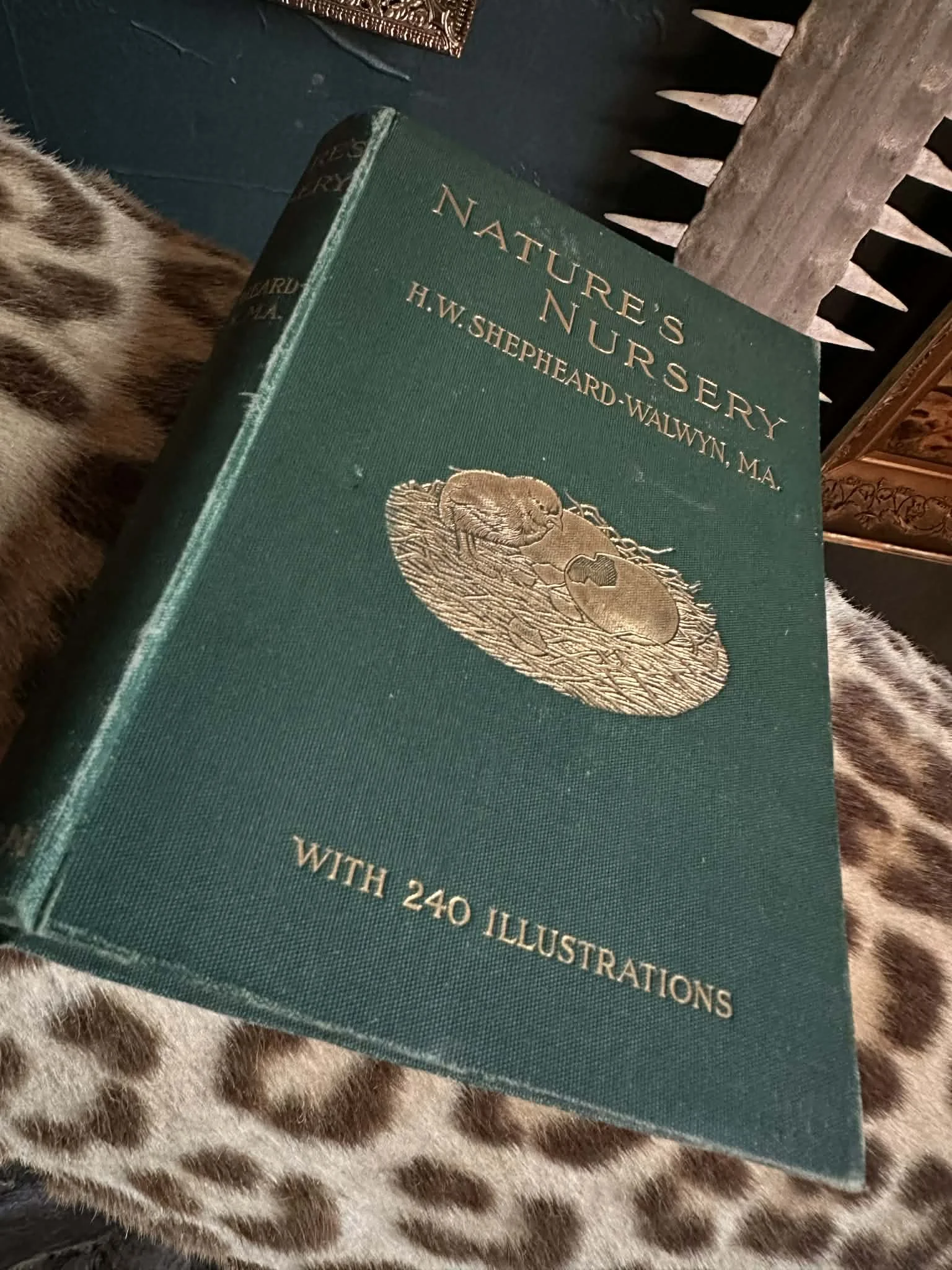 1905 Nature's Nursery by H.W. Shepheard-Walwyn, M.A.