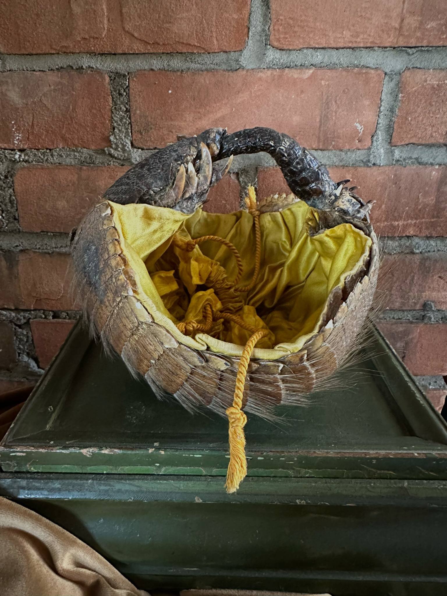 Six-Banded Armadillo Basket