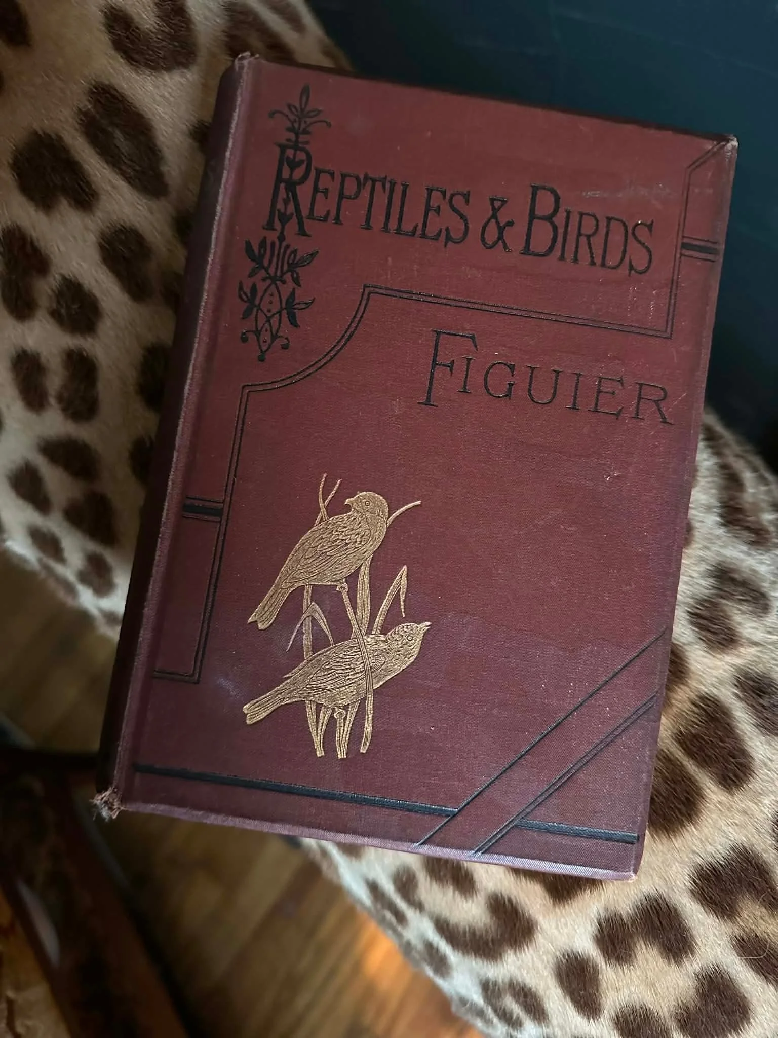 Reptiles & Birds by Louis Figuier