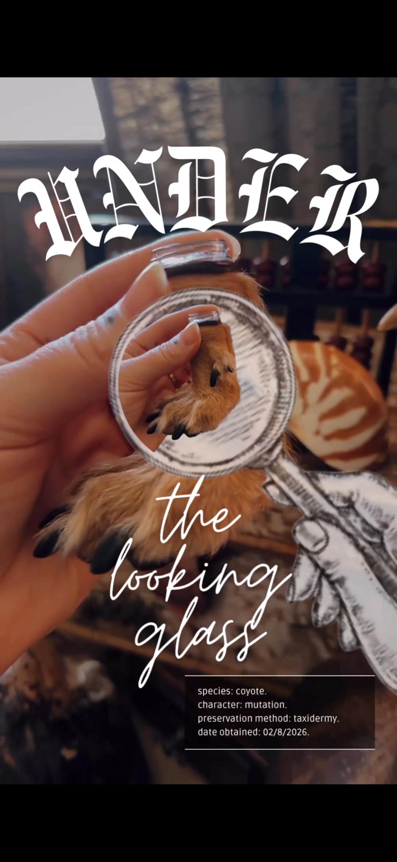 RESERVED LISTING! - For Serena Coyote Paws