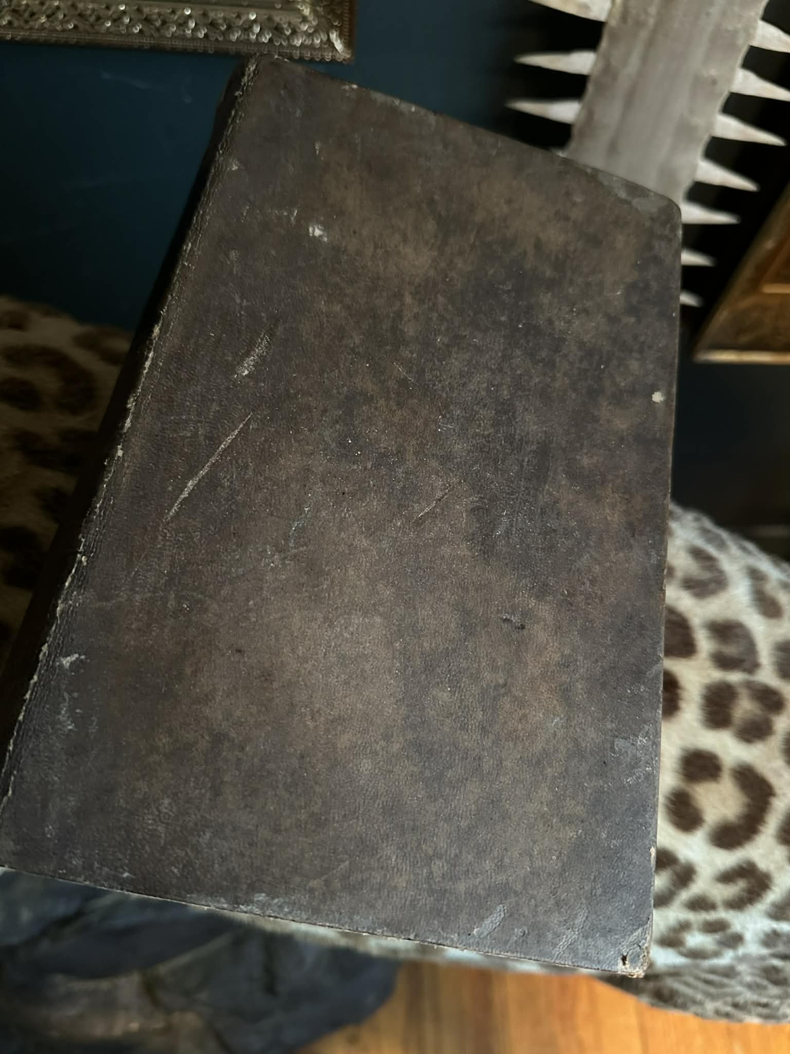 1000005651.jpg