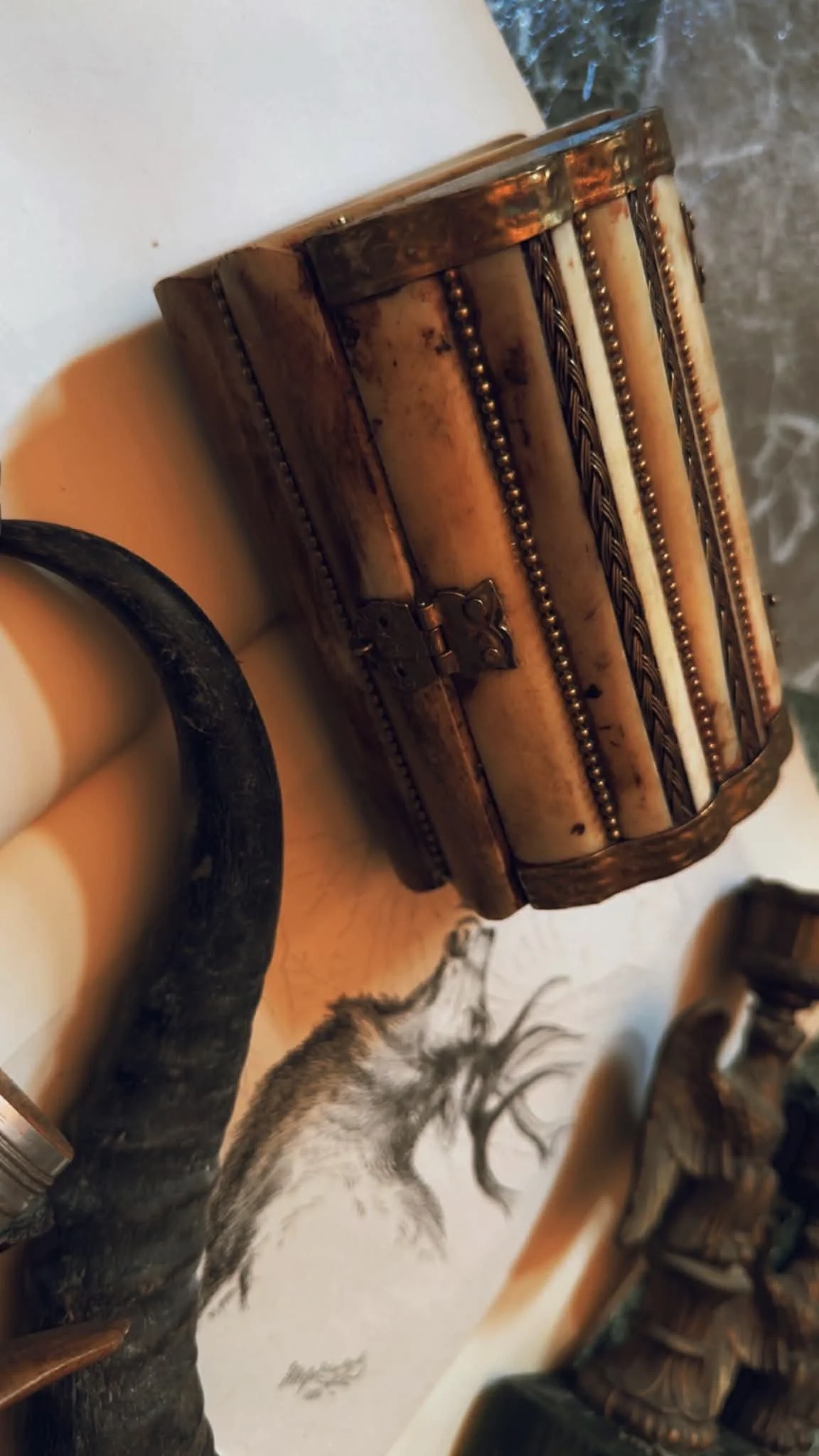 Vintage Camel Bone Box