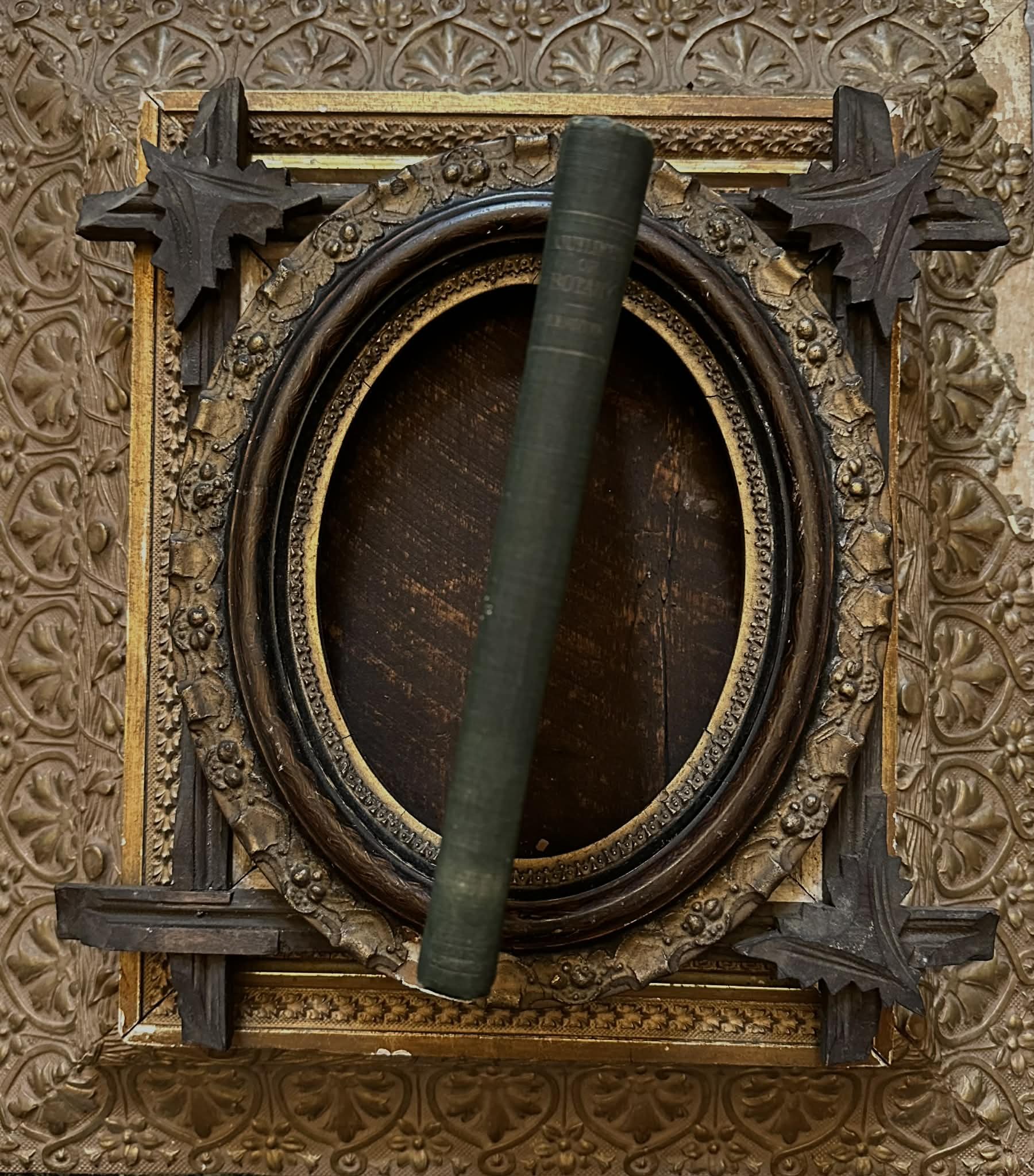 1901 Outlines of Botany by Robert Greenleaf Leavitt