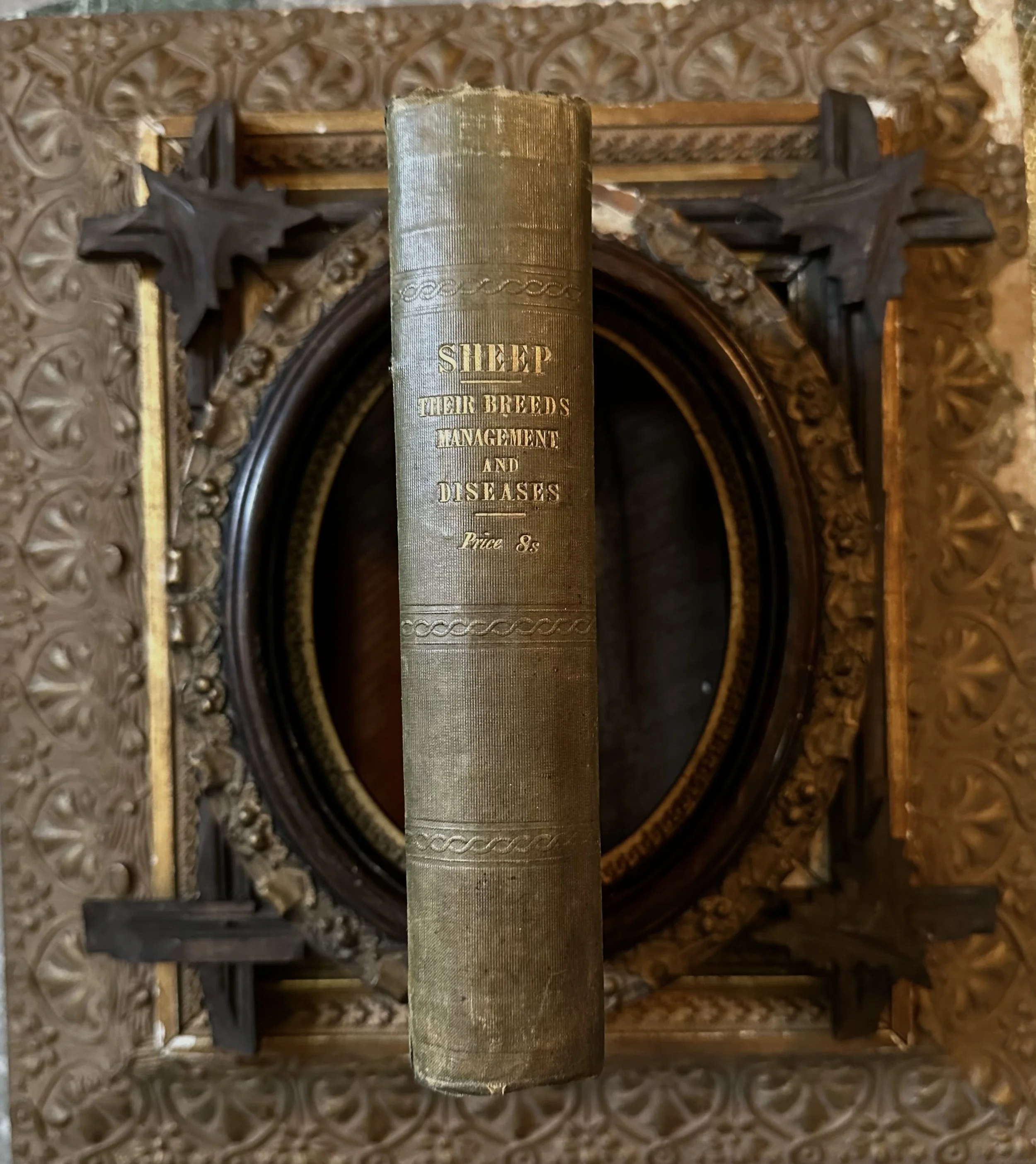 Sheep by William Youatt