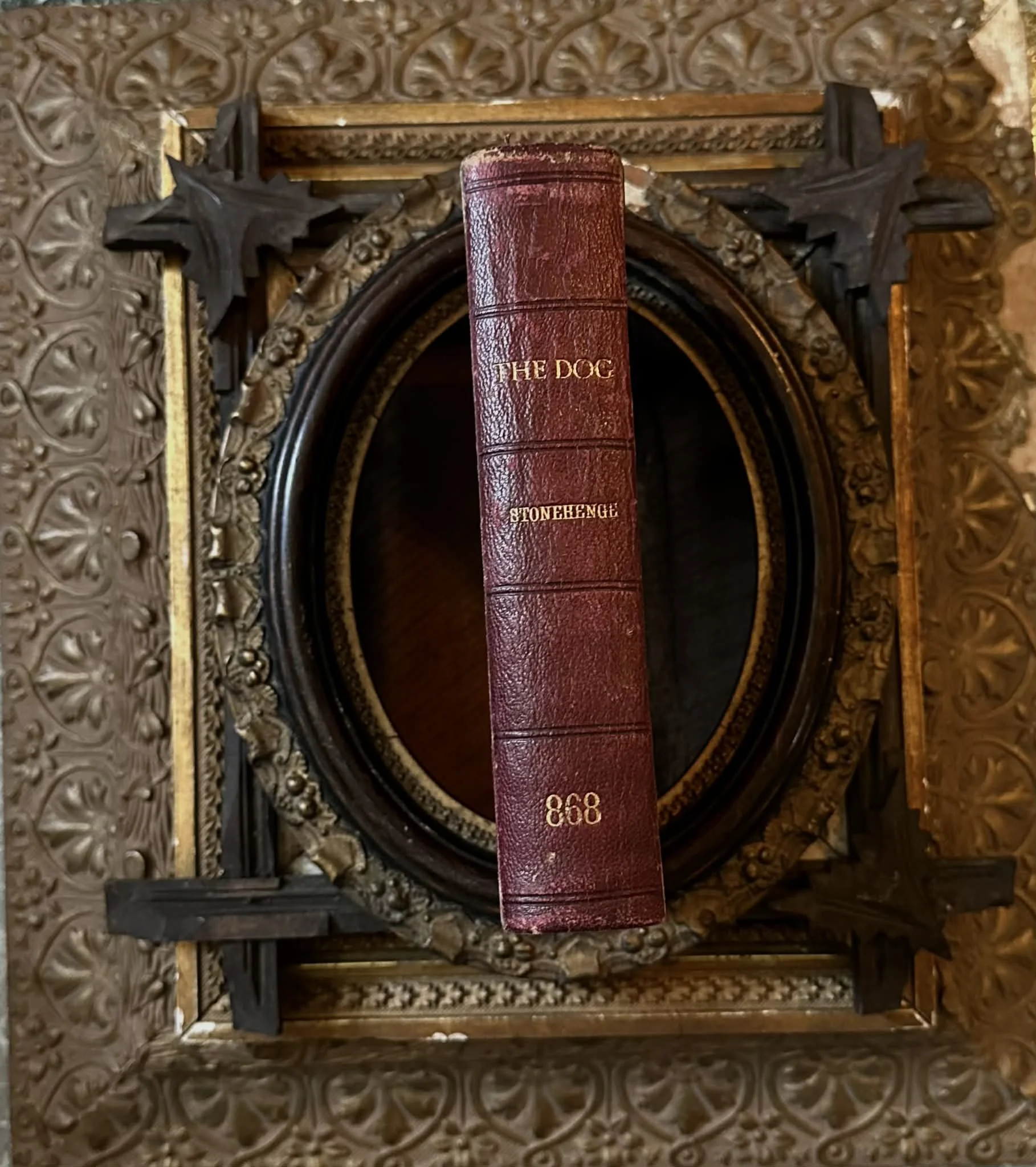 1872 The Dog by Stonehenge