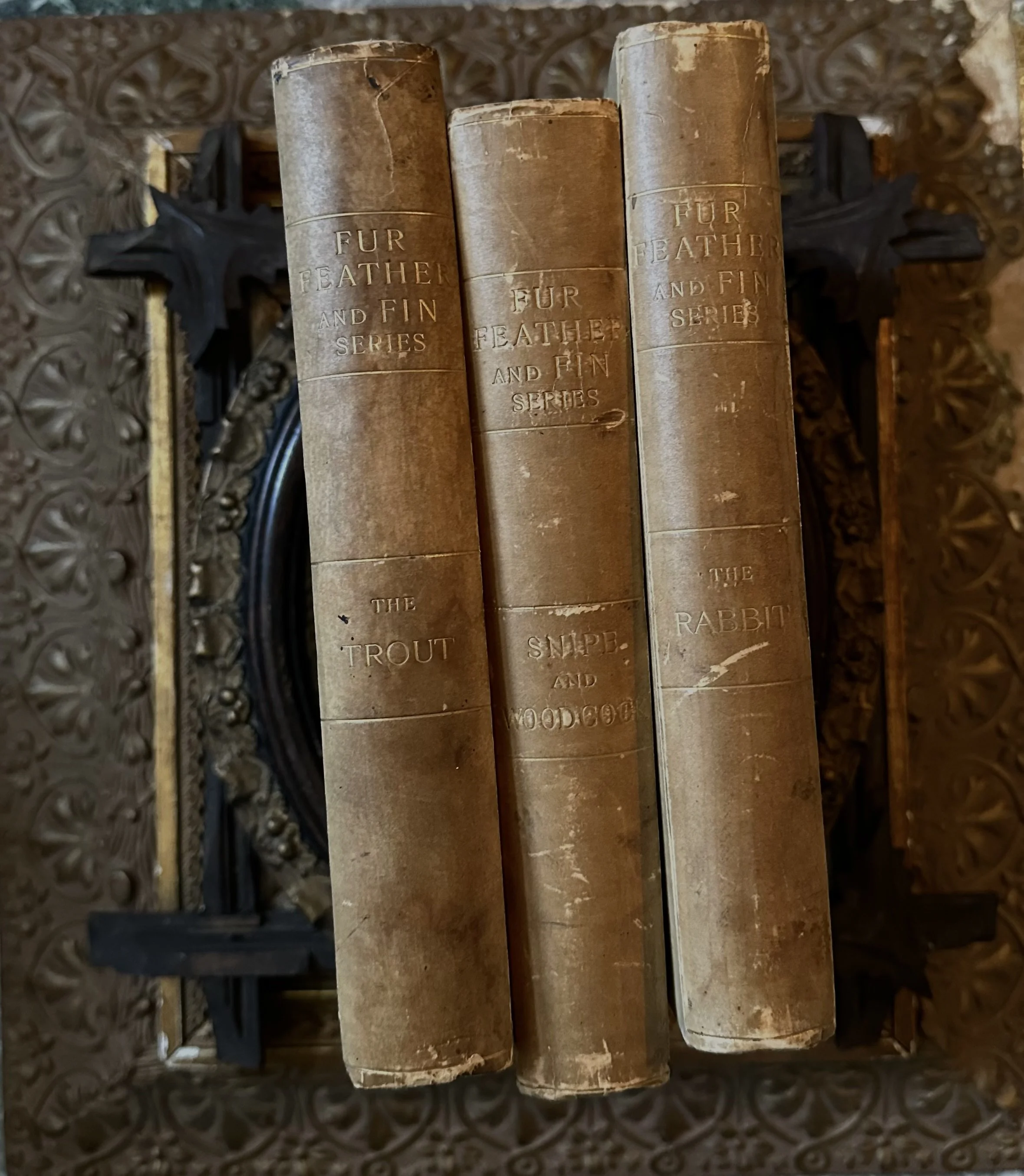Fur, Feather and Fin - 3 Volumes