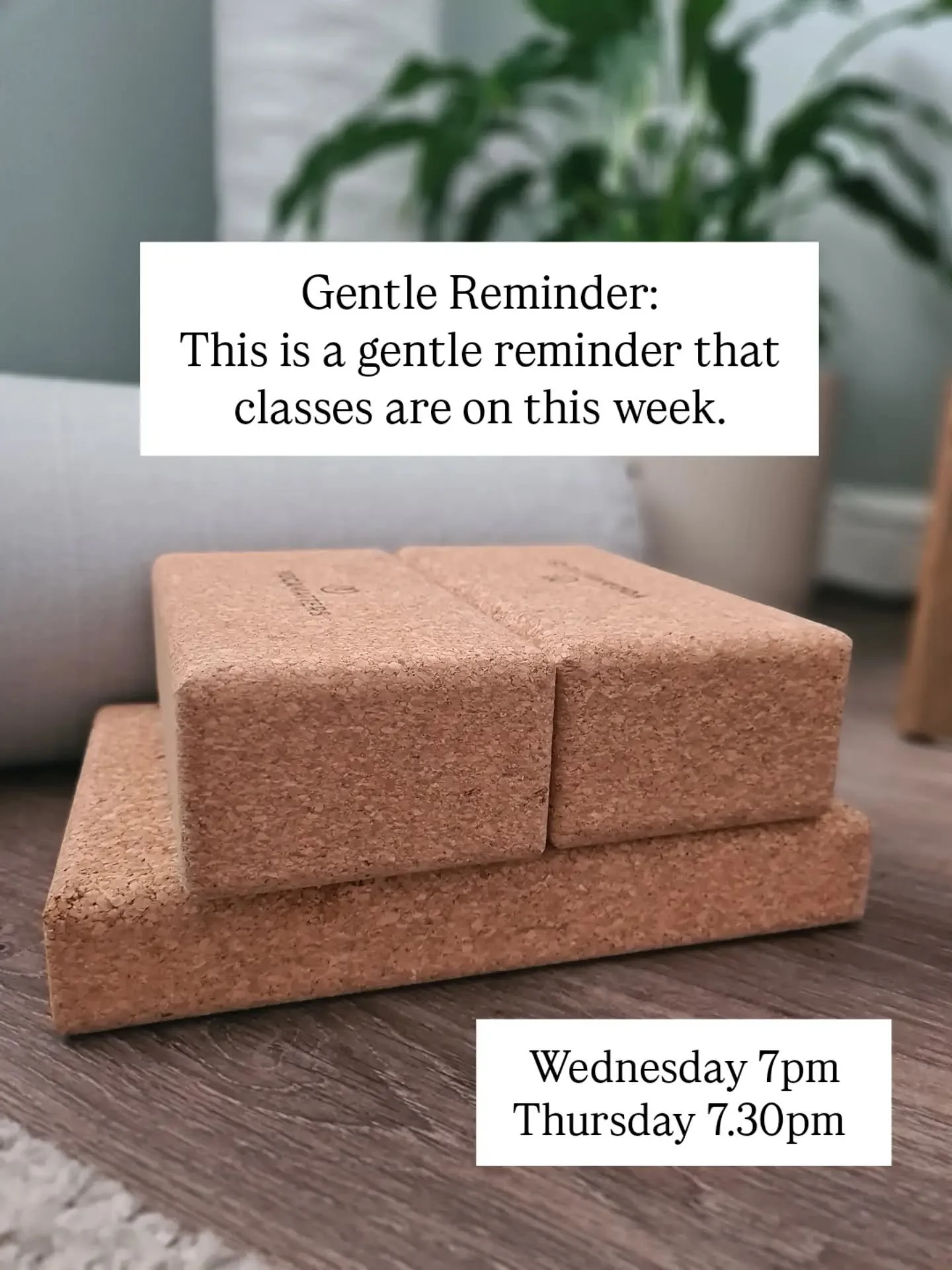 This is a gentle reminder that classes are on this week ✨️

A space to stretch, breathe, unwind and reconnect.

Whether you've been practising for years or are thinking about joining for the first time, you'll be warmly welcomed.

Message me for deta