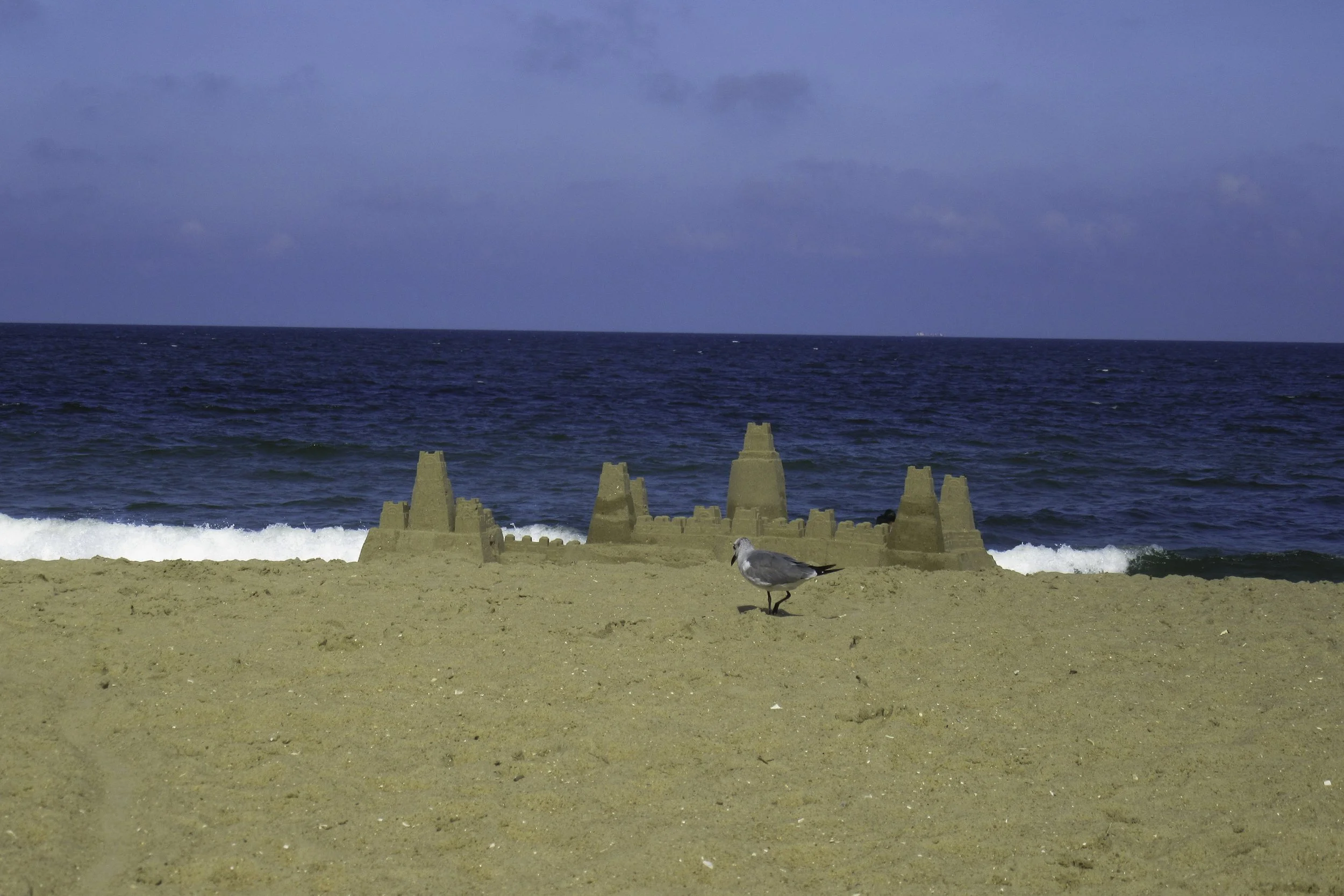 LR Edited Photos-01.jpg