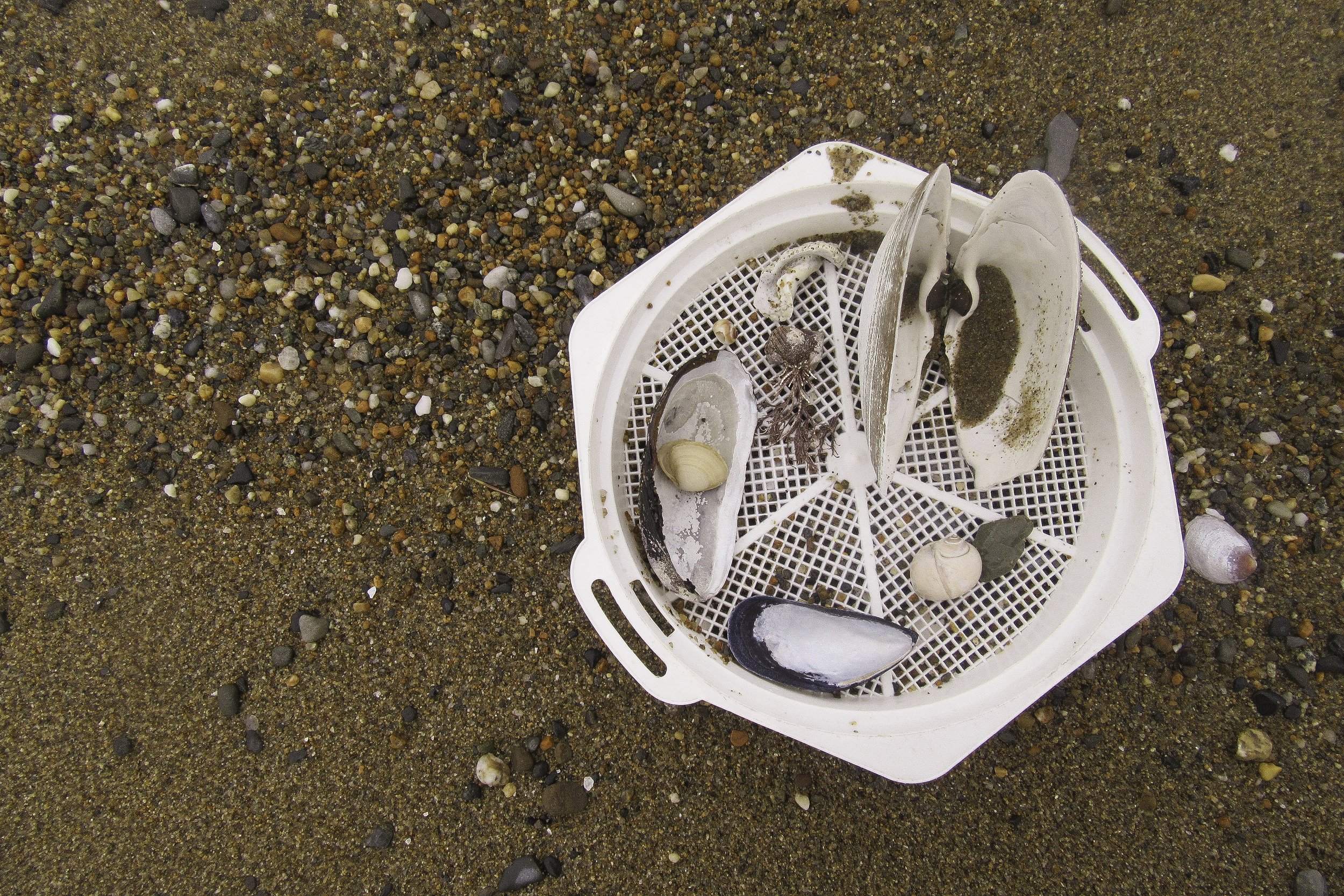 LR Edited Photos-02.jpg