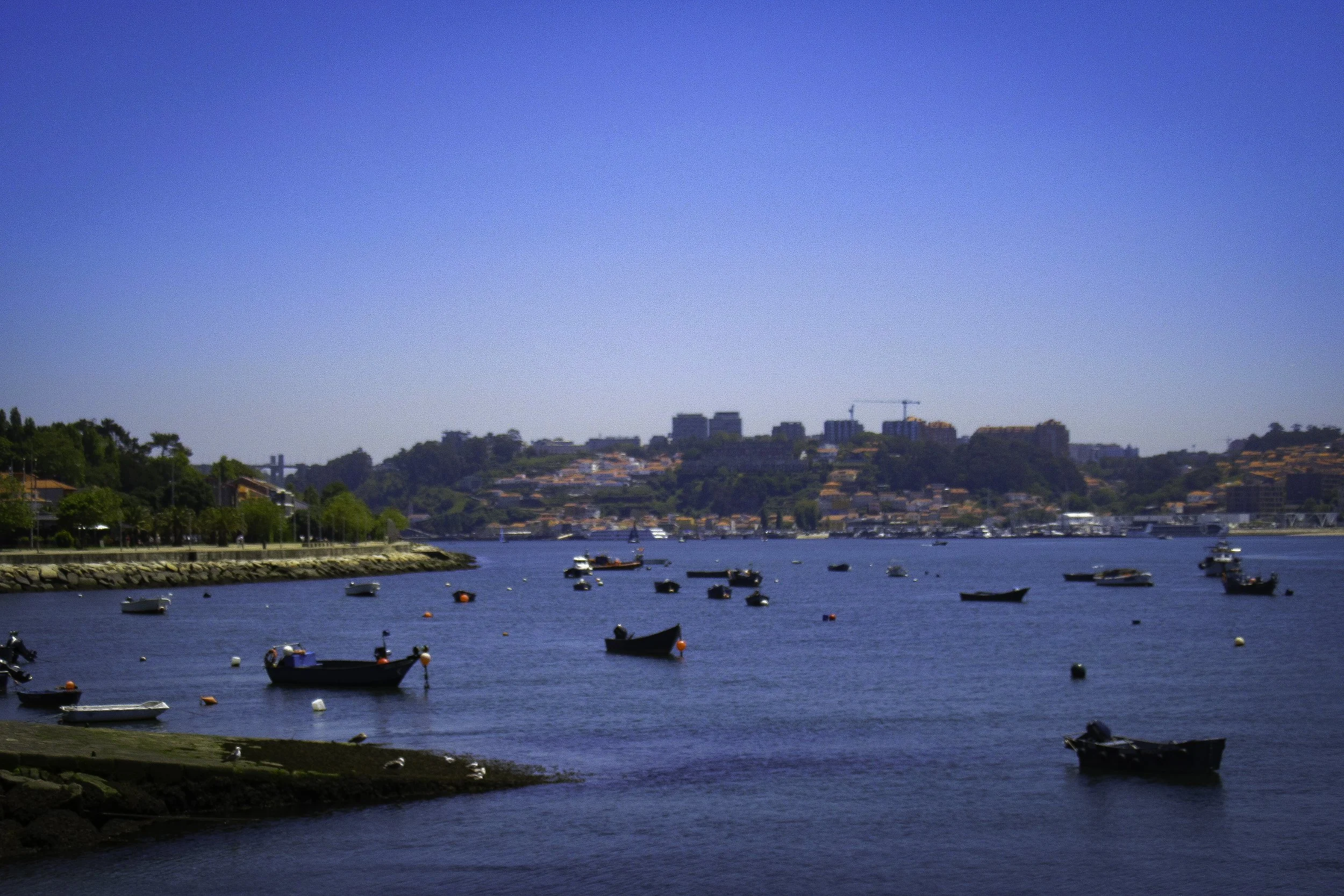 LR Edited Photos-11.jpg