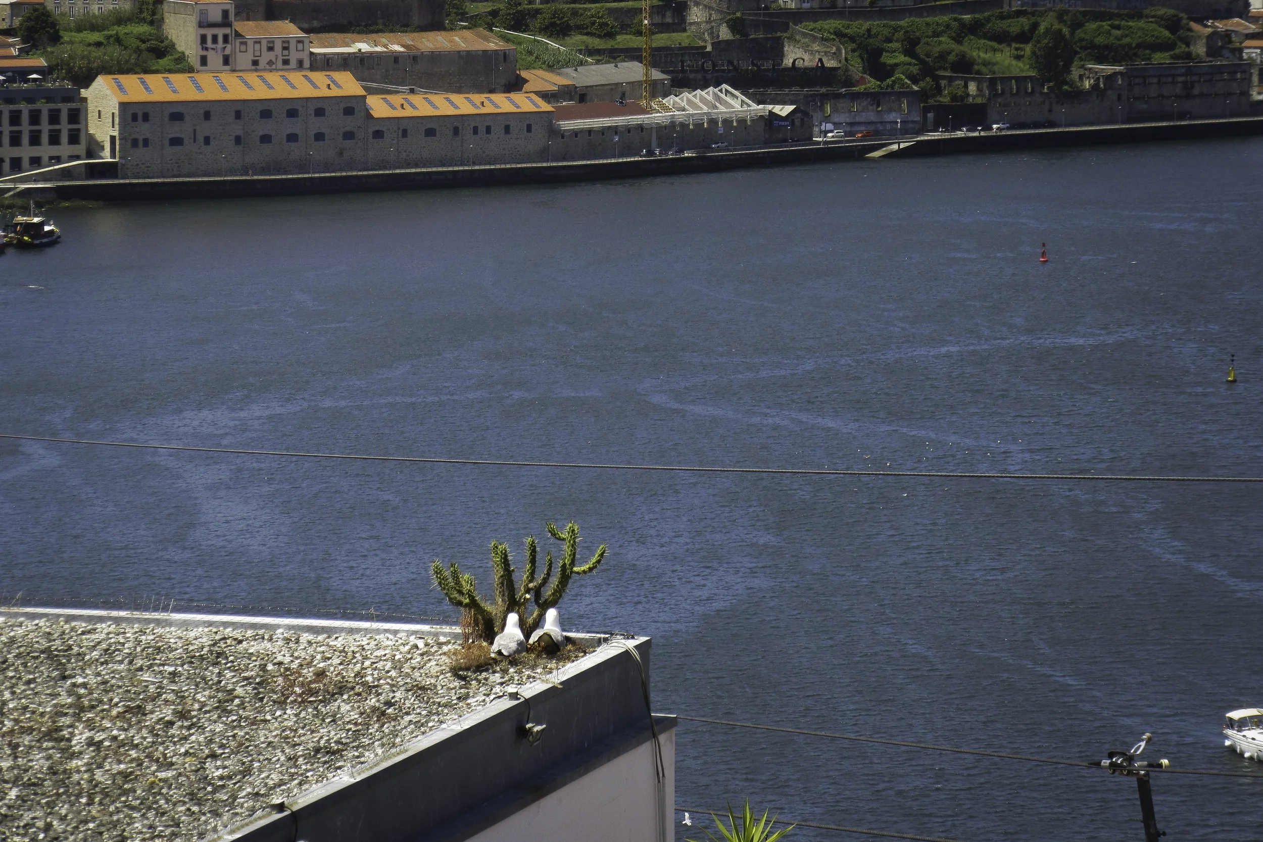 LR Edited Photos-14.jpg