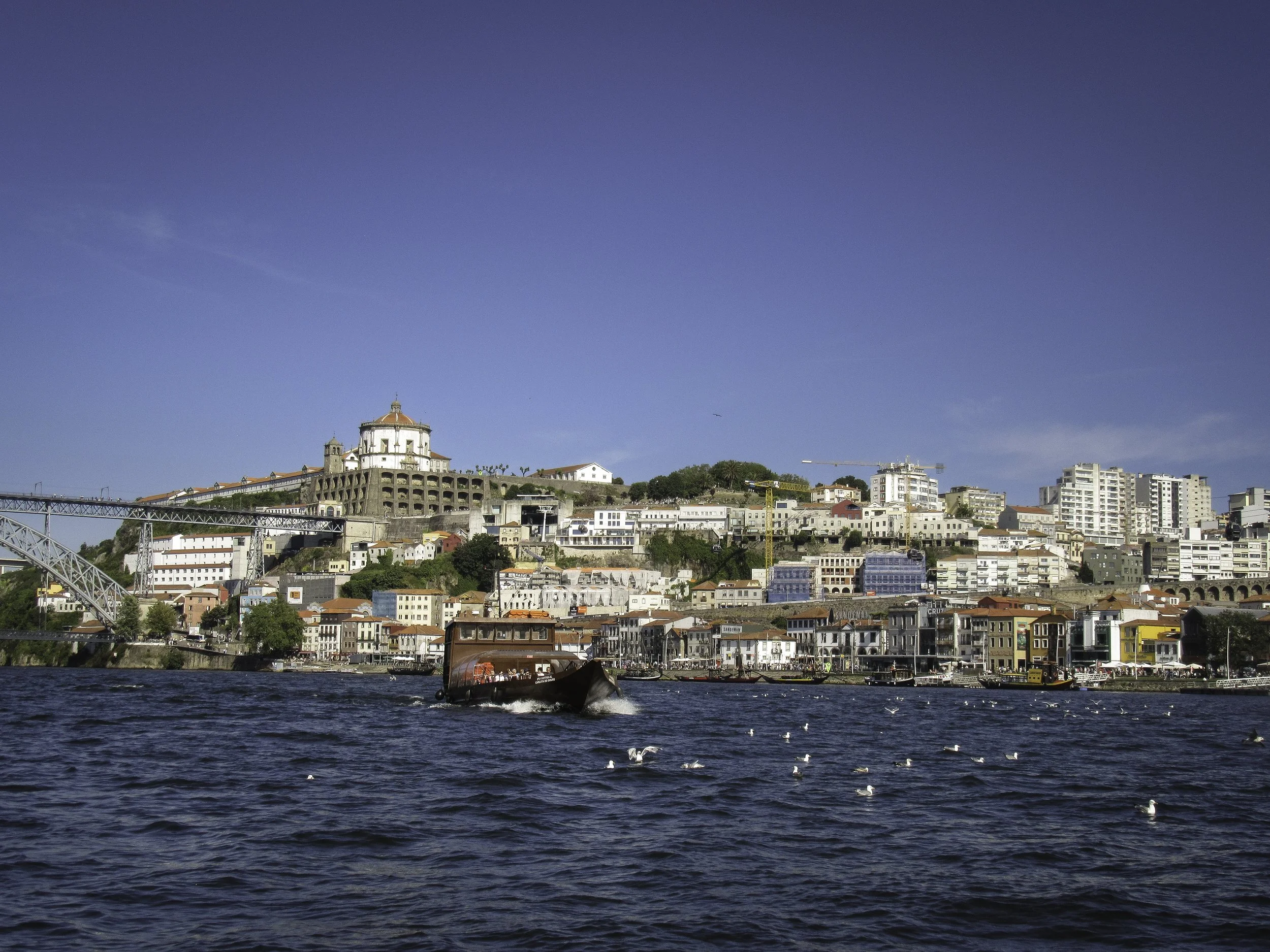 LR Edited Photos-04.jpg