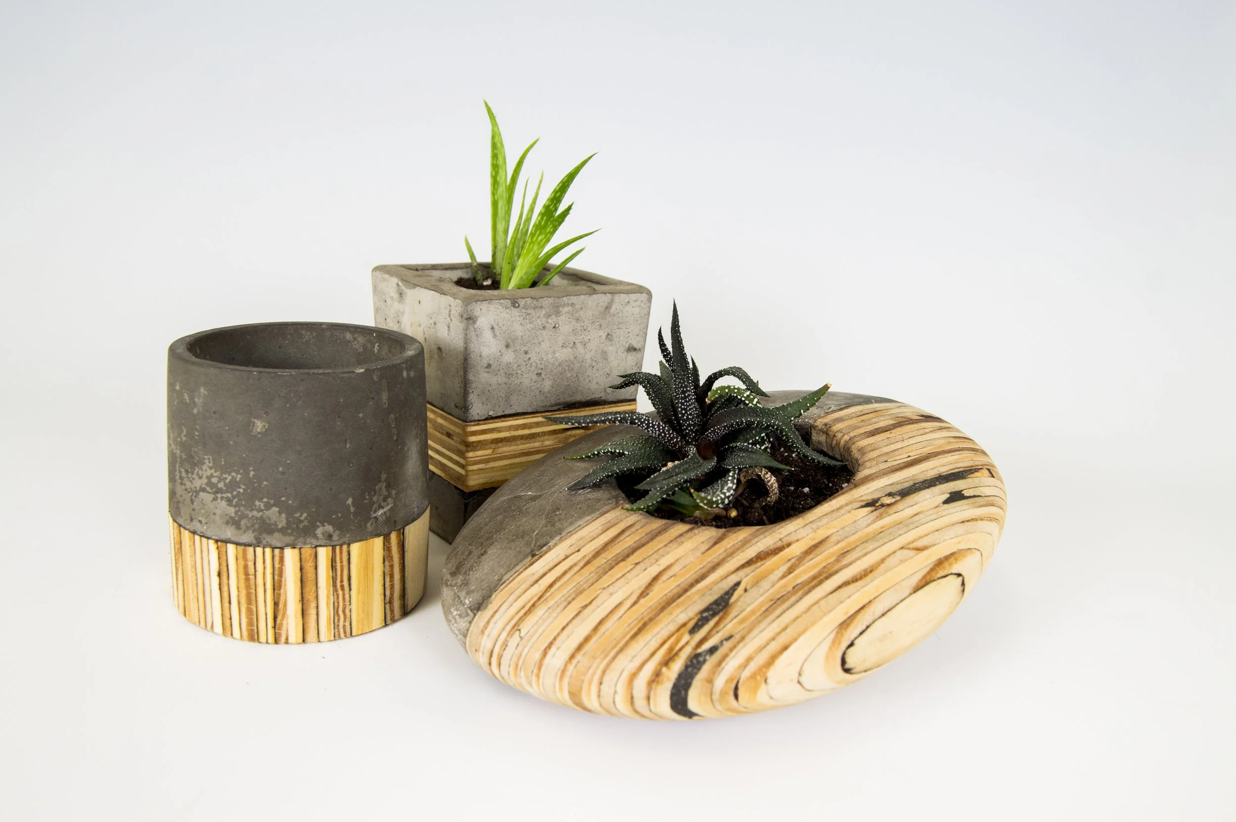 web portfolio -06.jpg