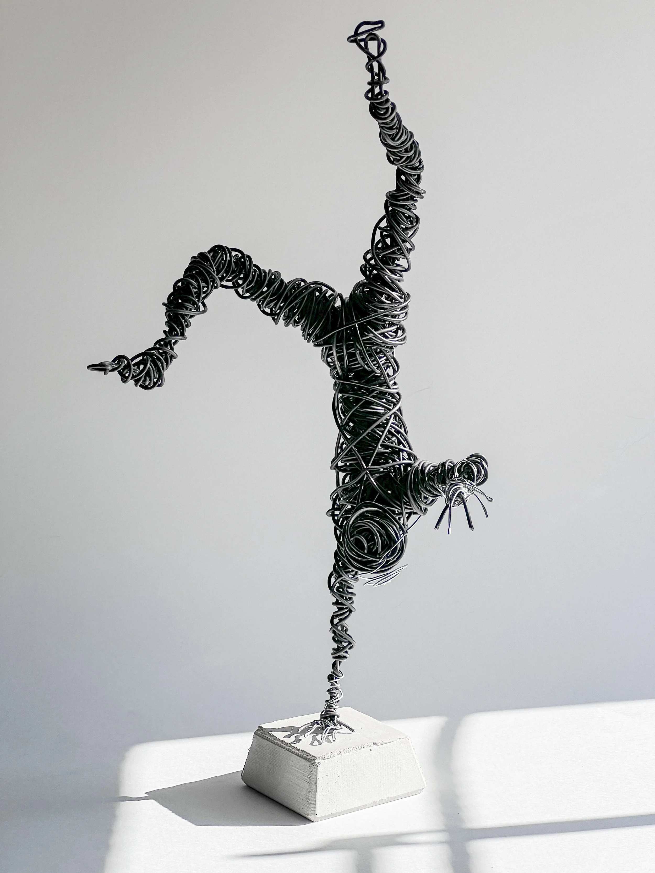 web portfolio -10.jpg