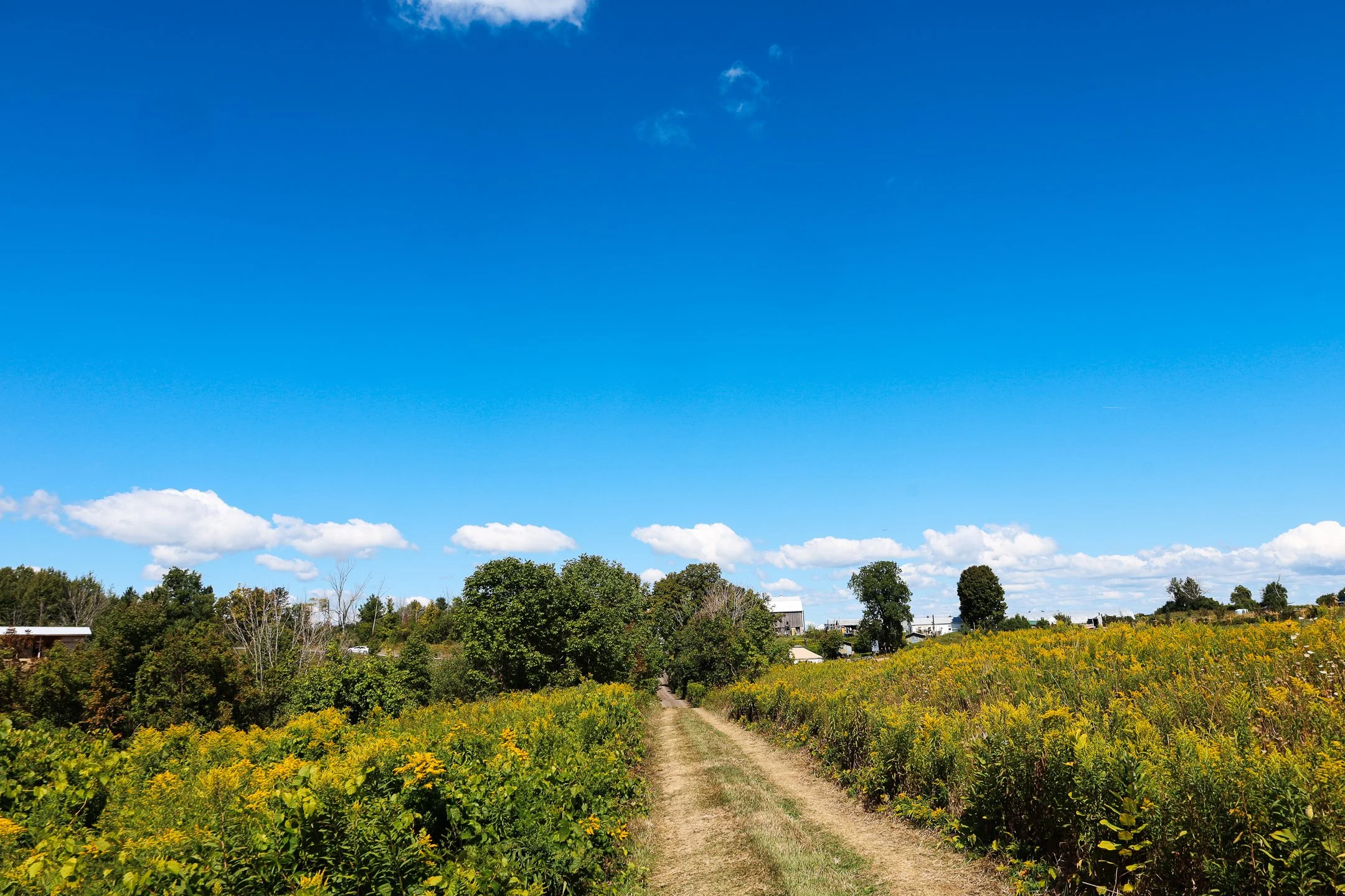 commonground (5 of 37).jpg