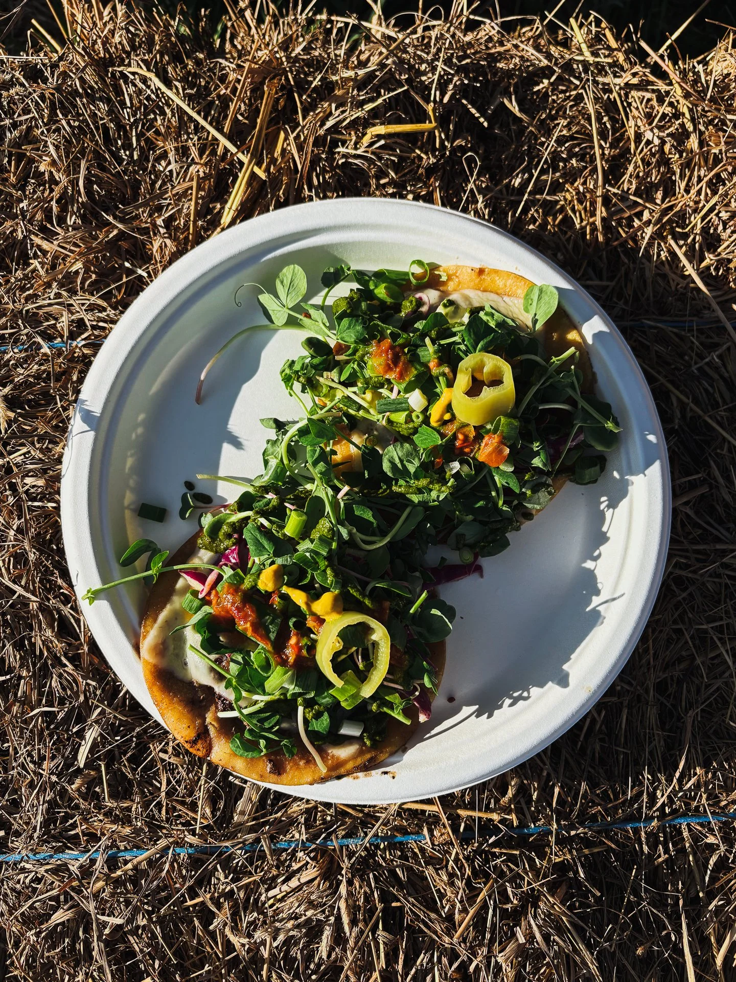 commonground-food (2 of 2).jpg