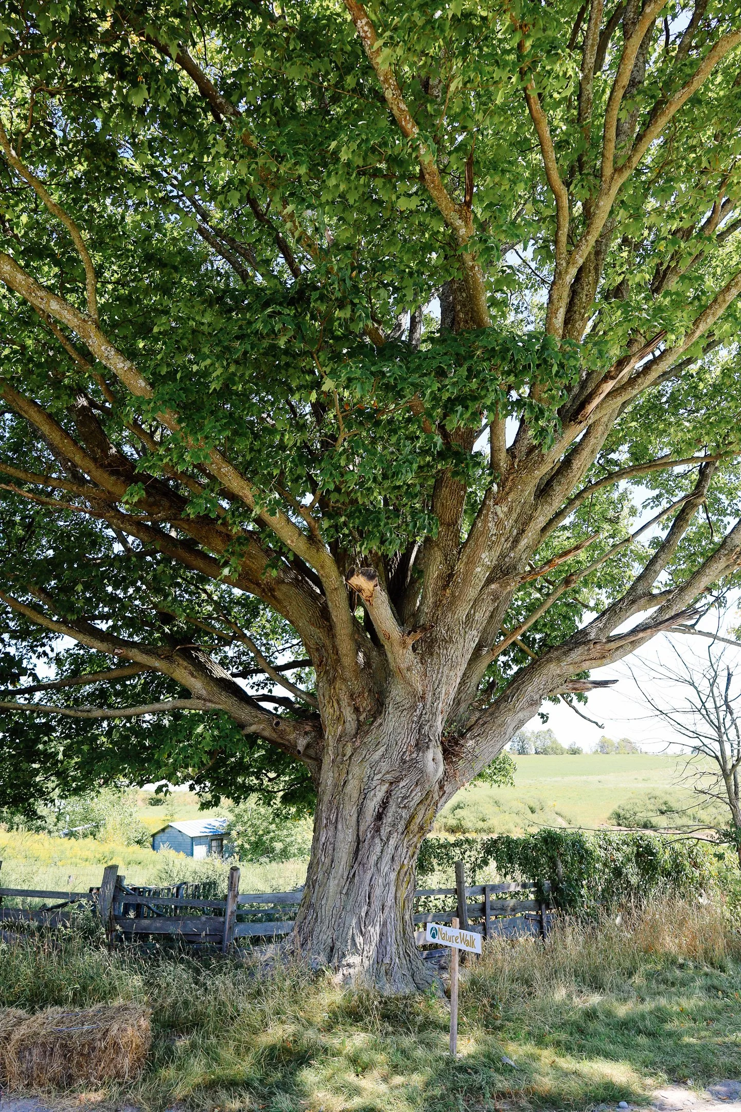 commonground (29 of 37).jpg