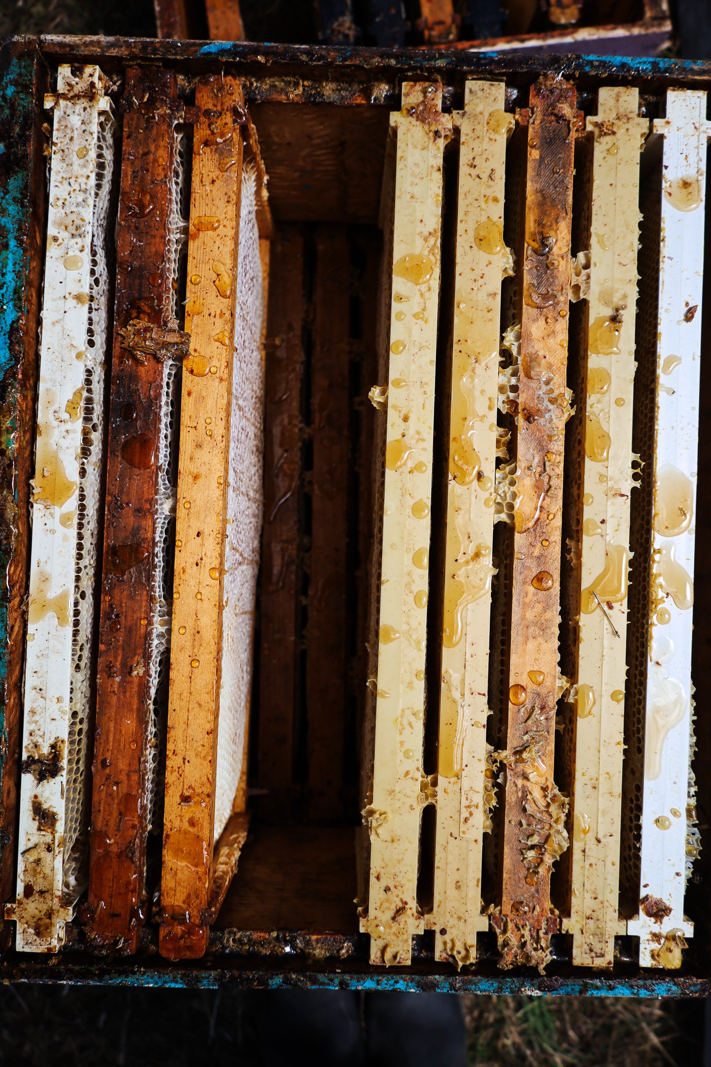 commonground (15 of 37).jpg