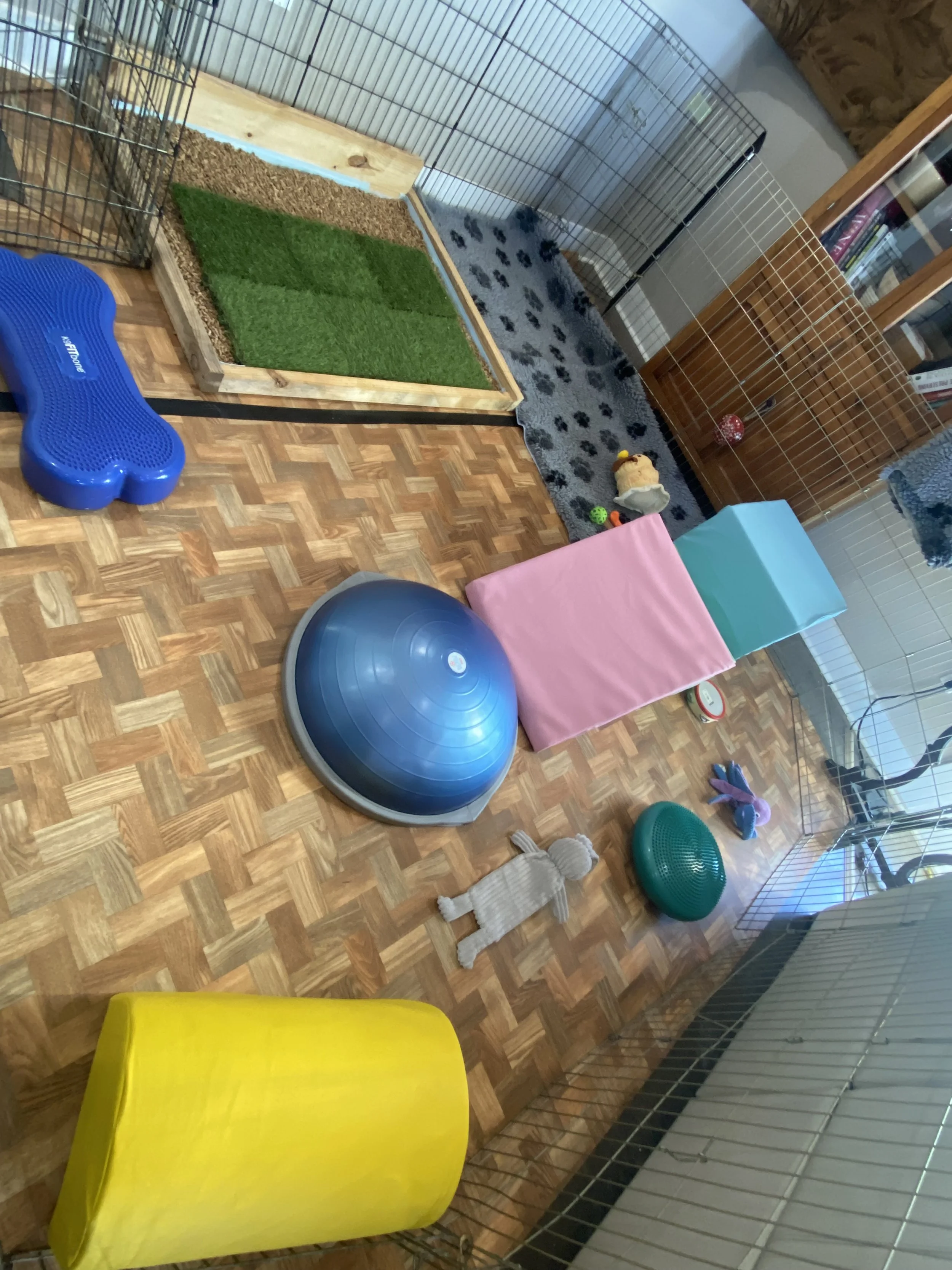 Ever expanding puppy room