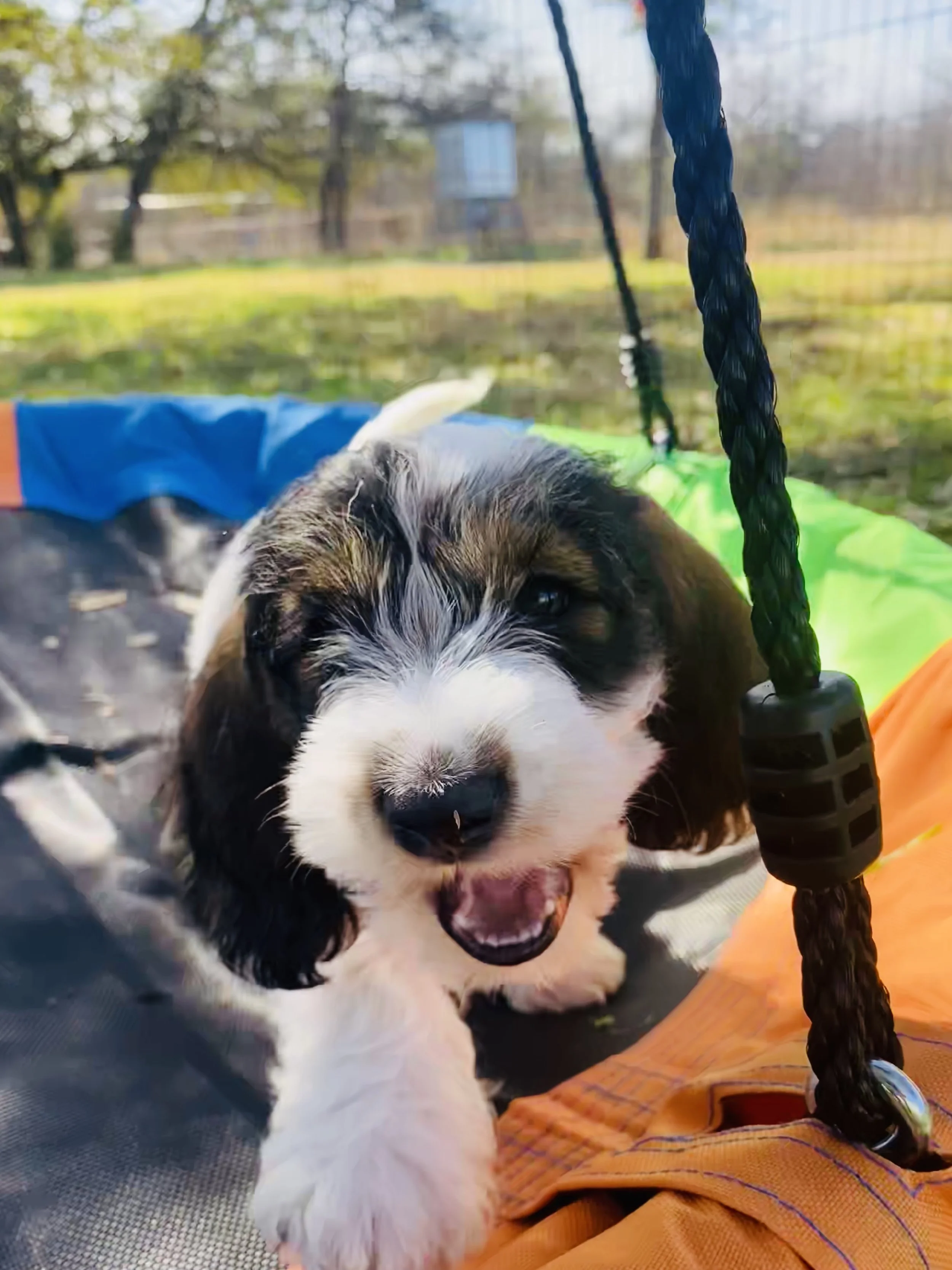 Exploring the new swing