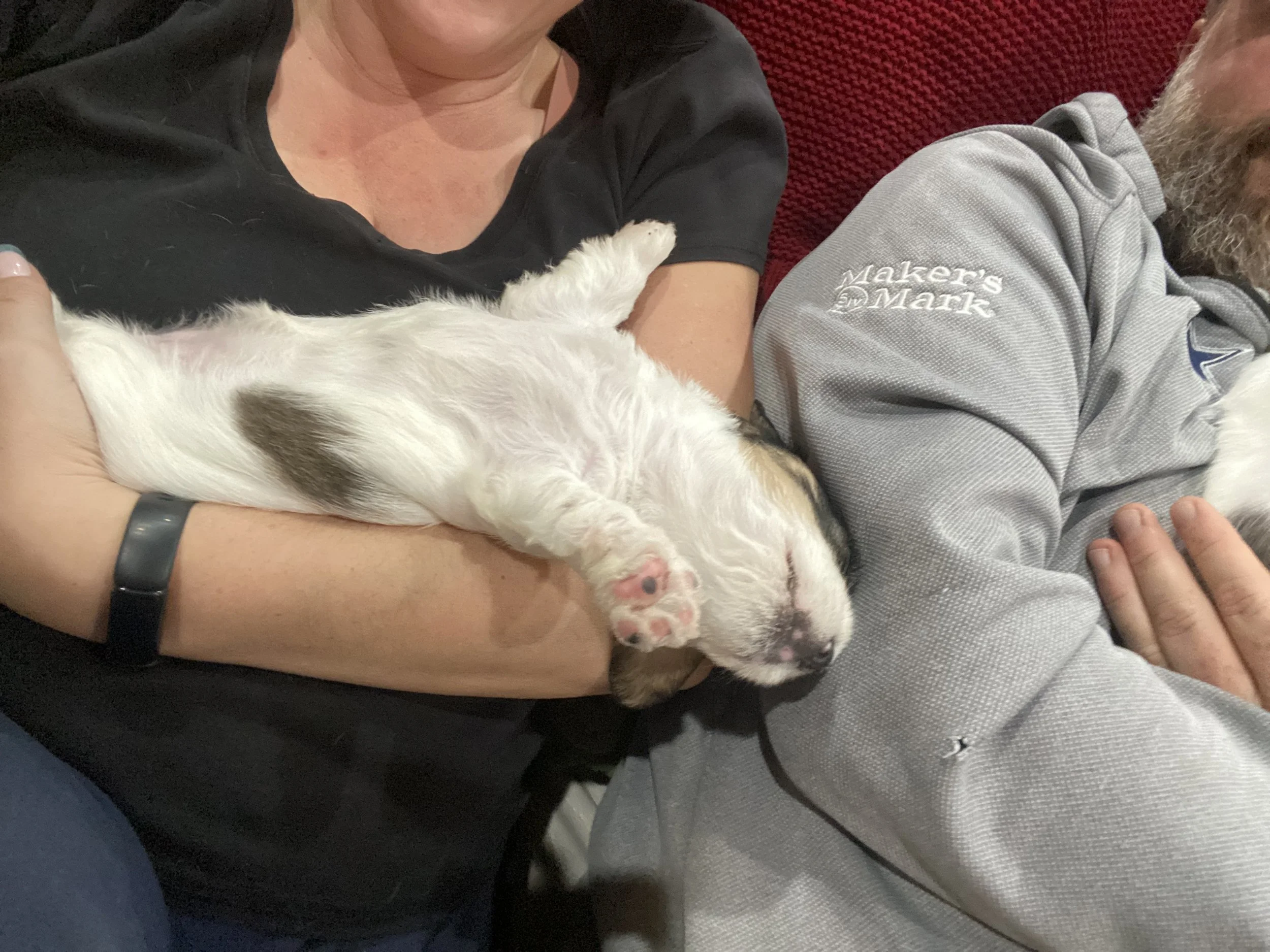 Family nap time.