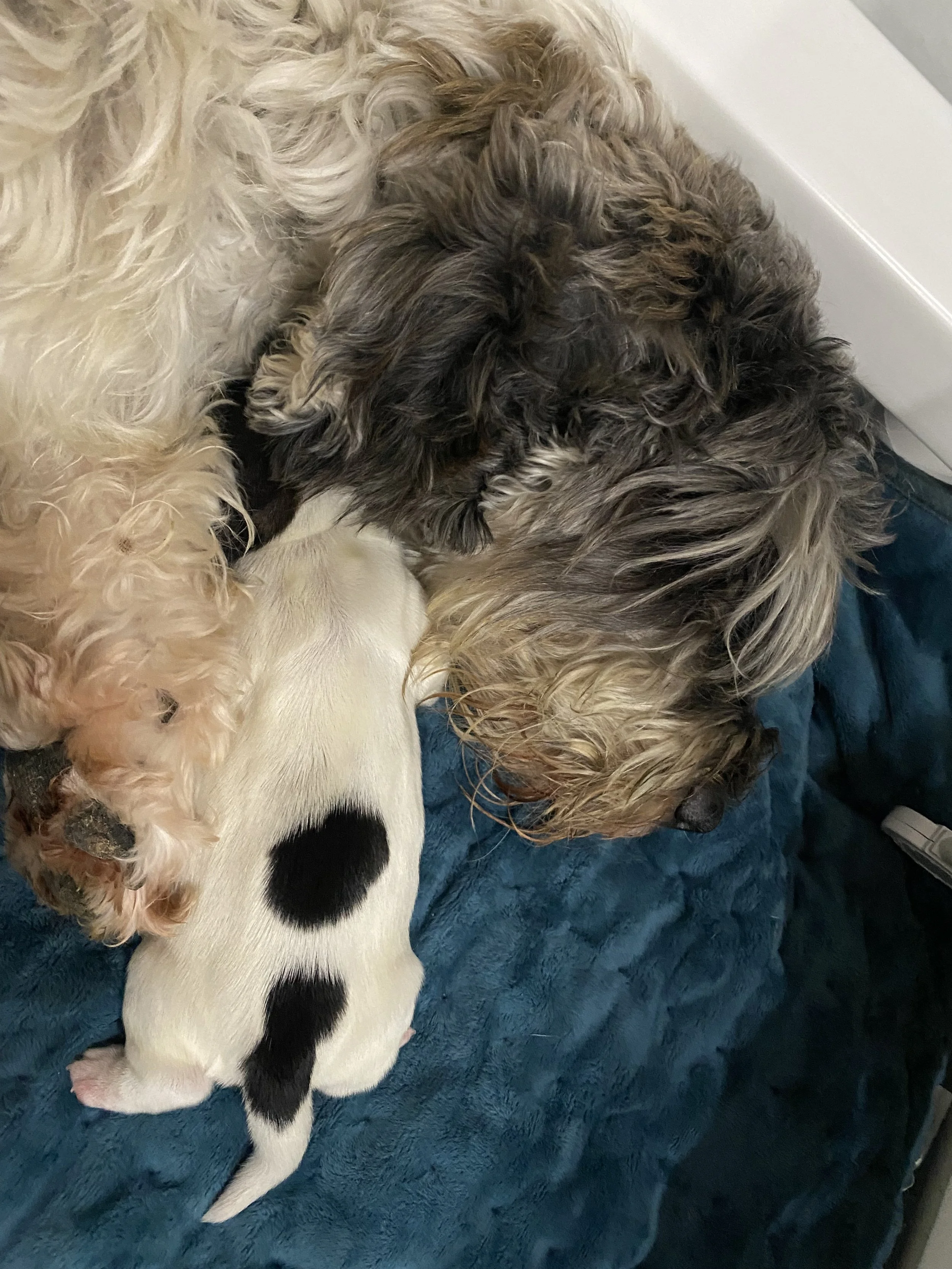Nap time