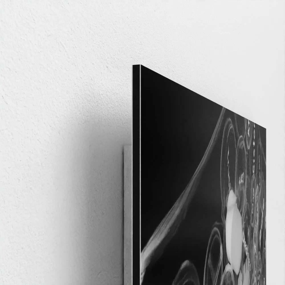 prodigi-MOU-DI-60X90-finish_lustre-papertype_dibond (2).jpg