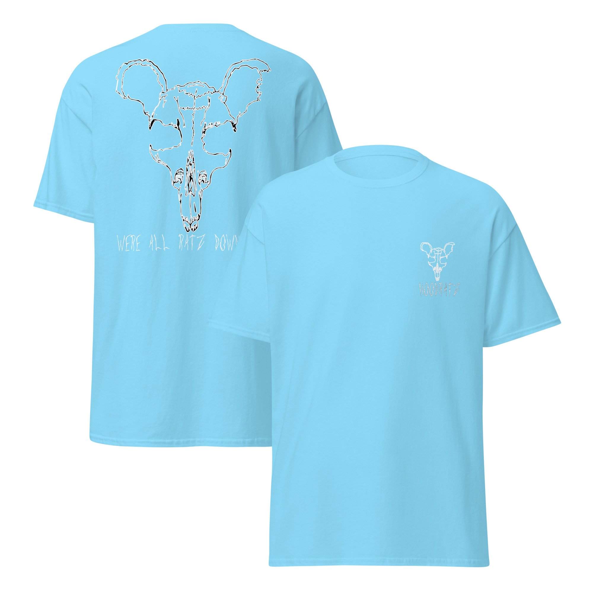 unisex-classic-tee-sky-front-and-back-681d38b06d88e.jpg