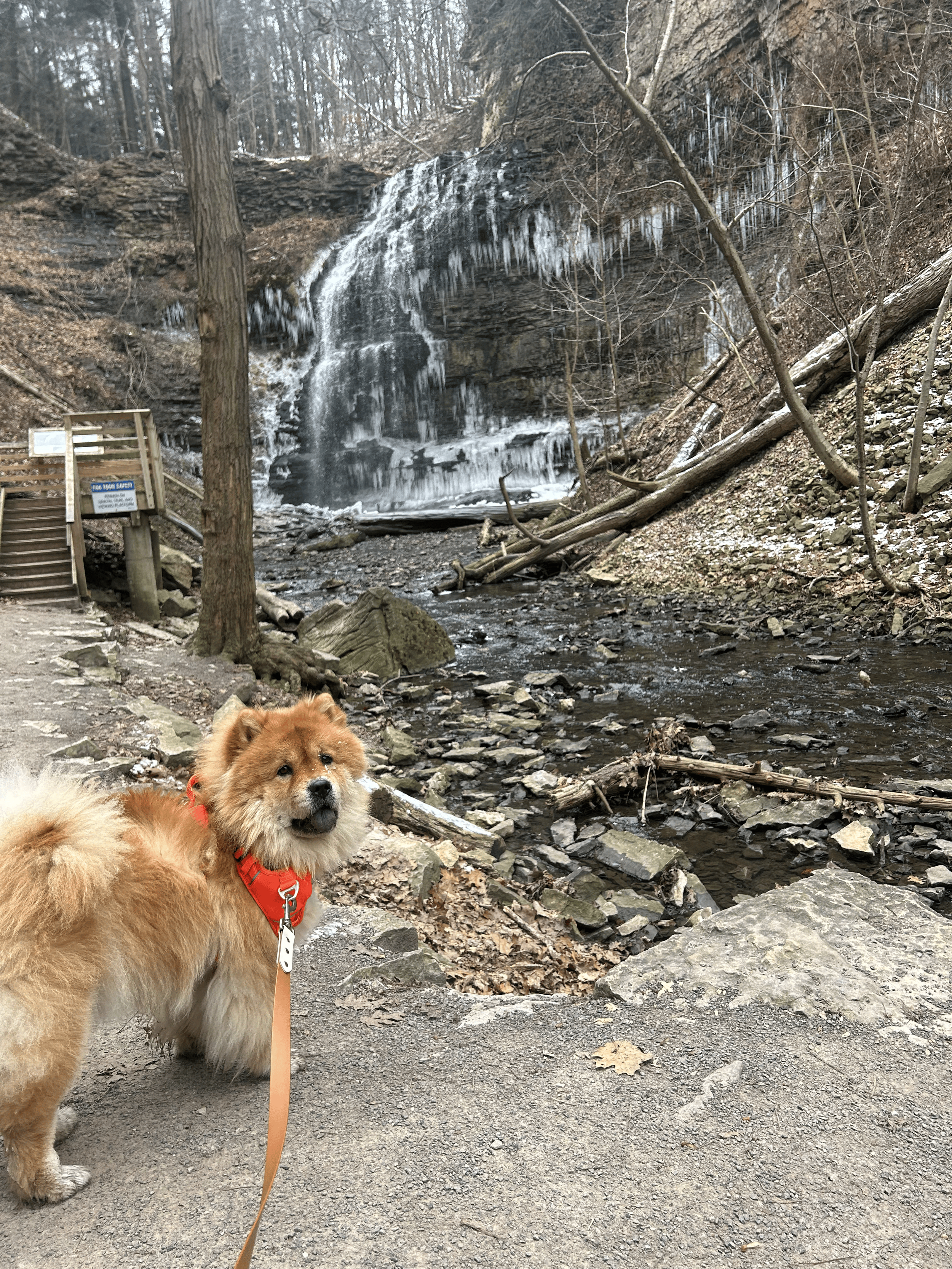 Mila at Tiffany Falls