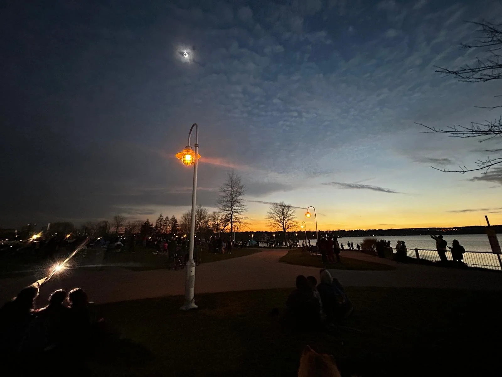 Total Solar Eclipse, Hamilton