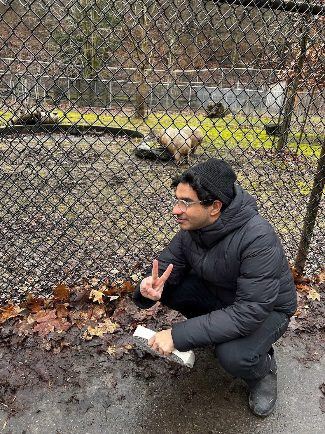 Mila's Birthday at High Park Capybaras