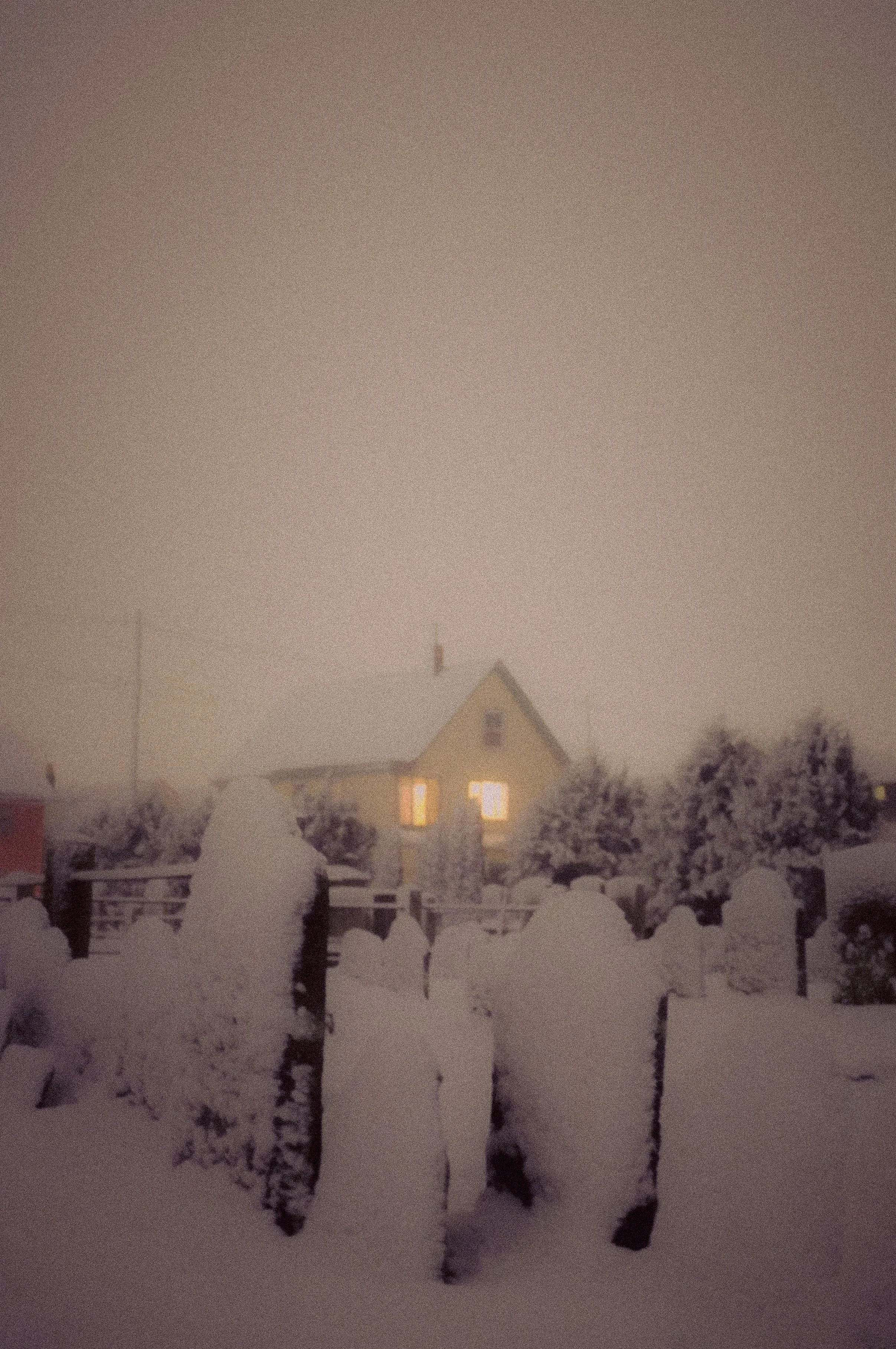 DSCF6955.jpg