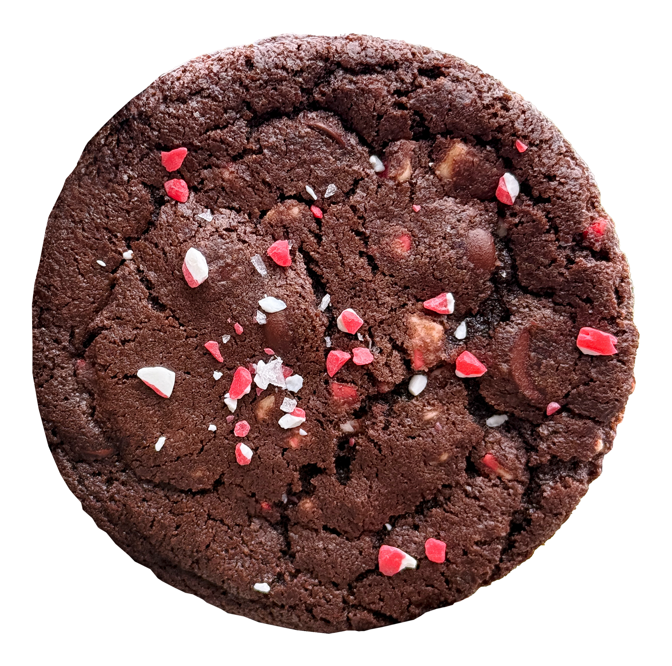 Peppermint Dark Chocolate Cookie