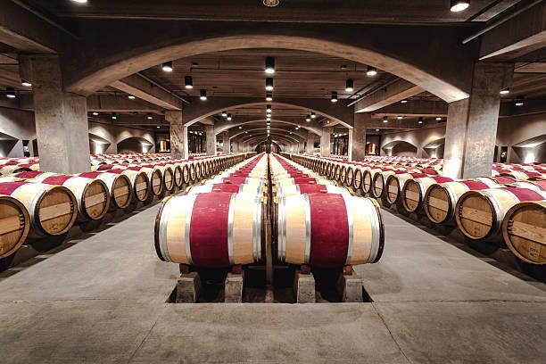 rows of barrels in cellar.jpg