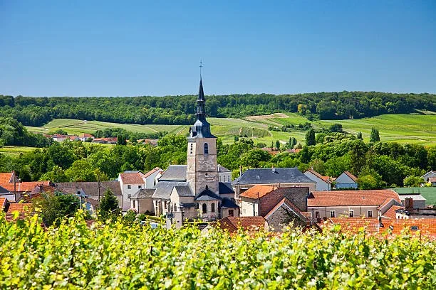 small french town in vineyards.jpg