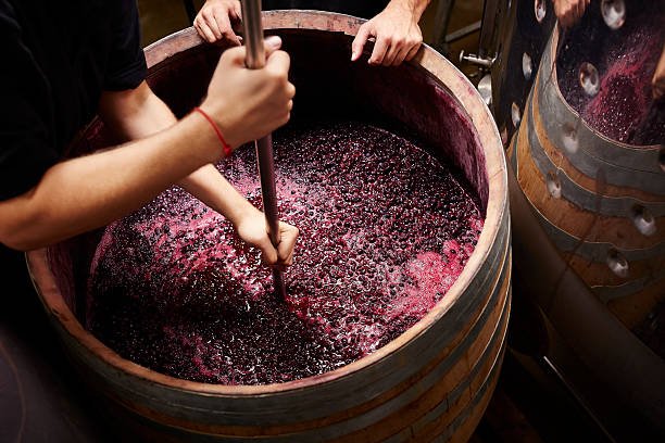 stirring fermenting grapes in barrel.jpg